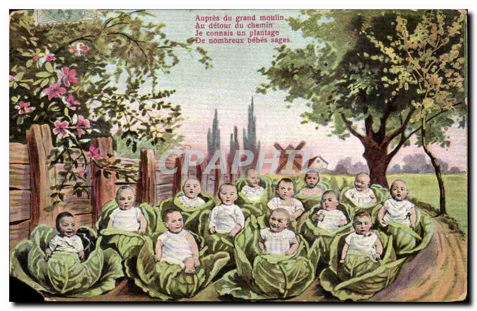 CPA Fantaisie Bebes dans les choux