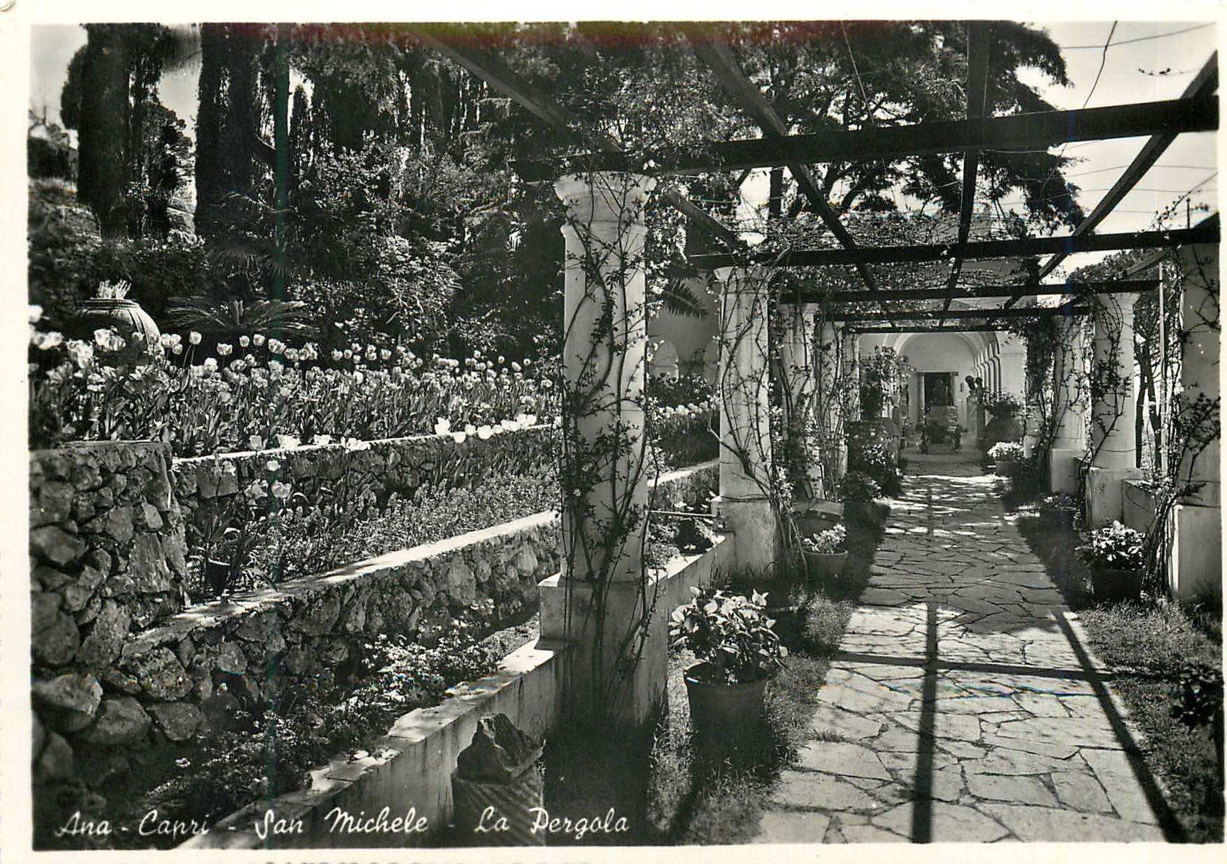 CPM Anacapri San Michele La Pergola