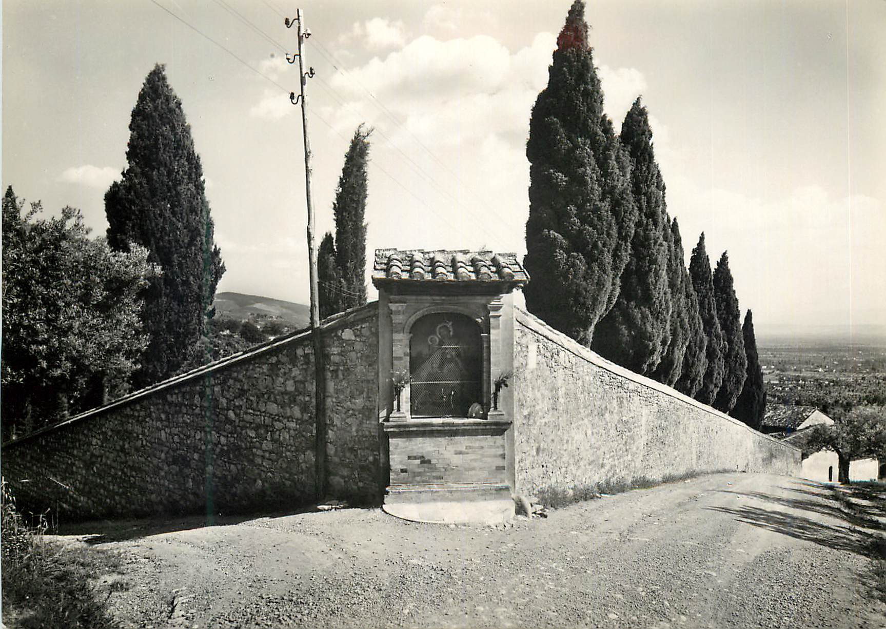 CPM Assisi Convento di S.Damiano-L'erta dei cipressi