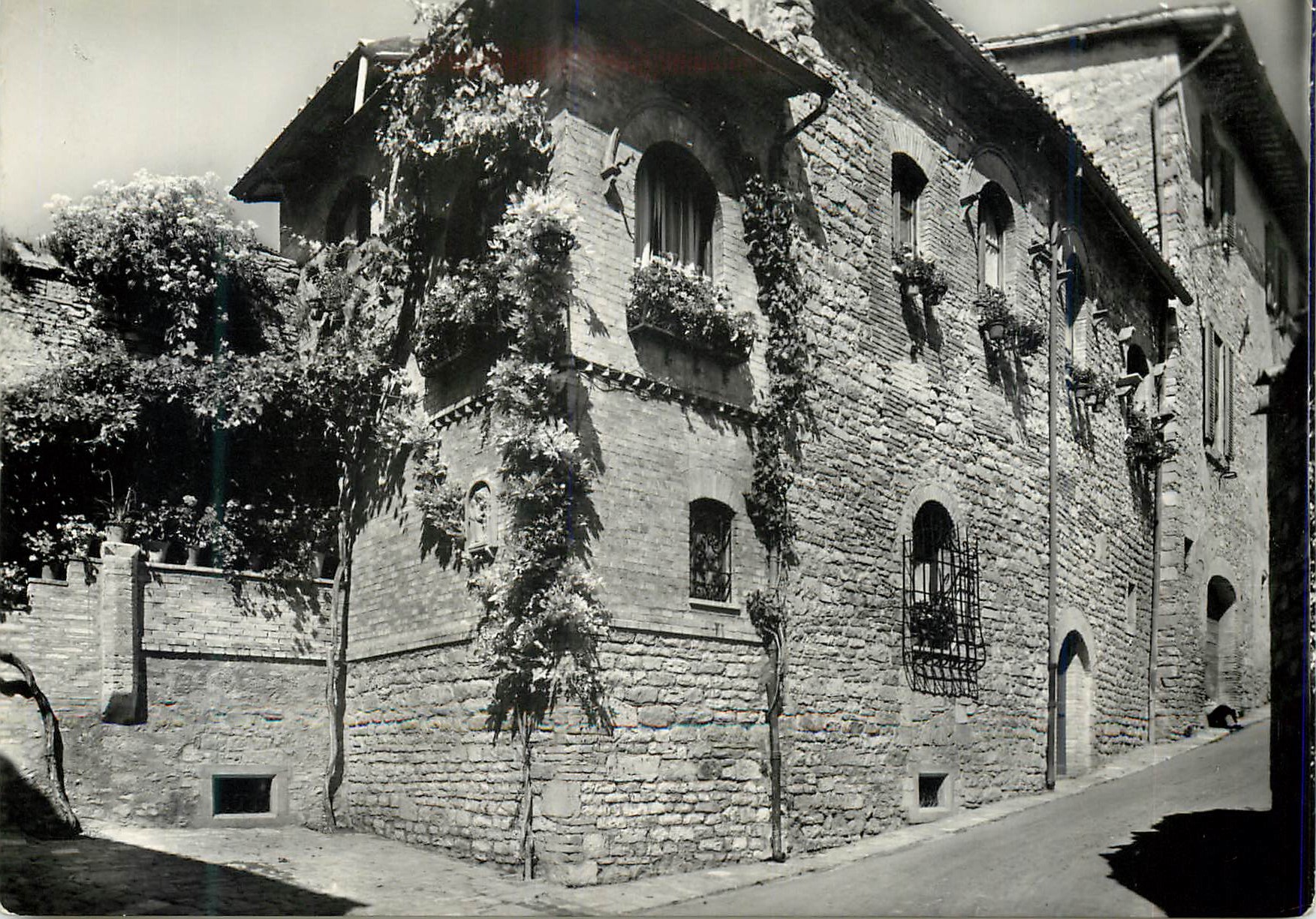 CPM Assisi Balconi fioriti Via G. De Martino