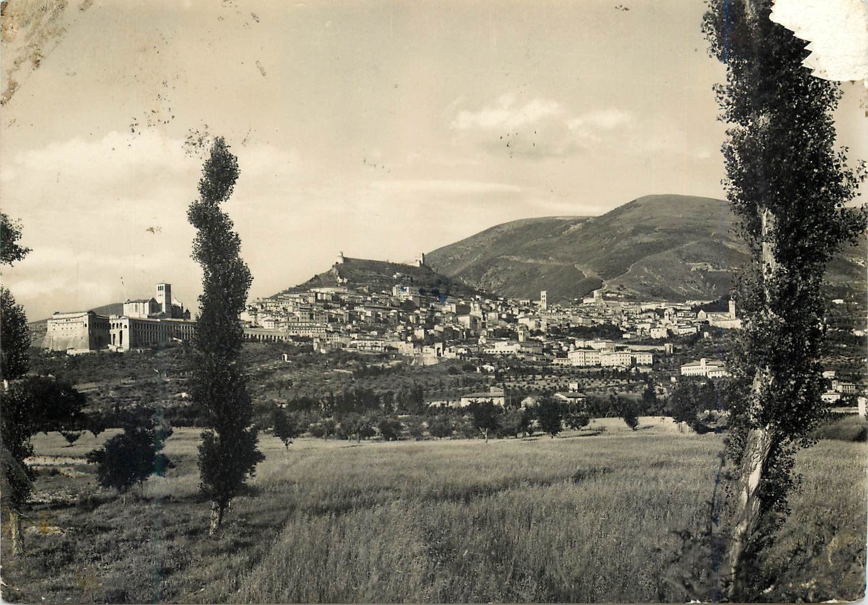 CPM Assisi Panorama