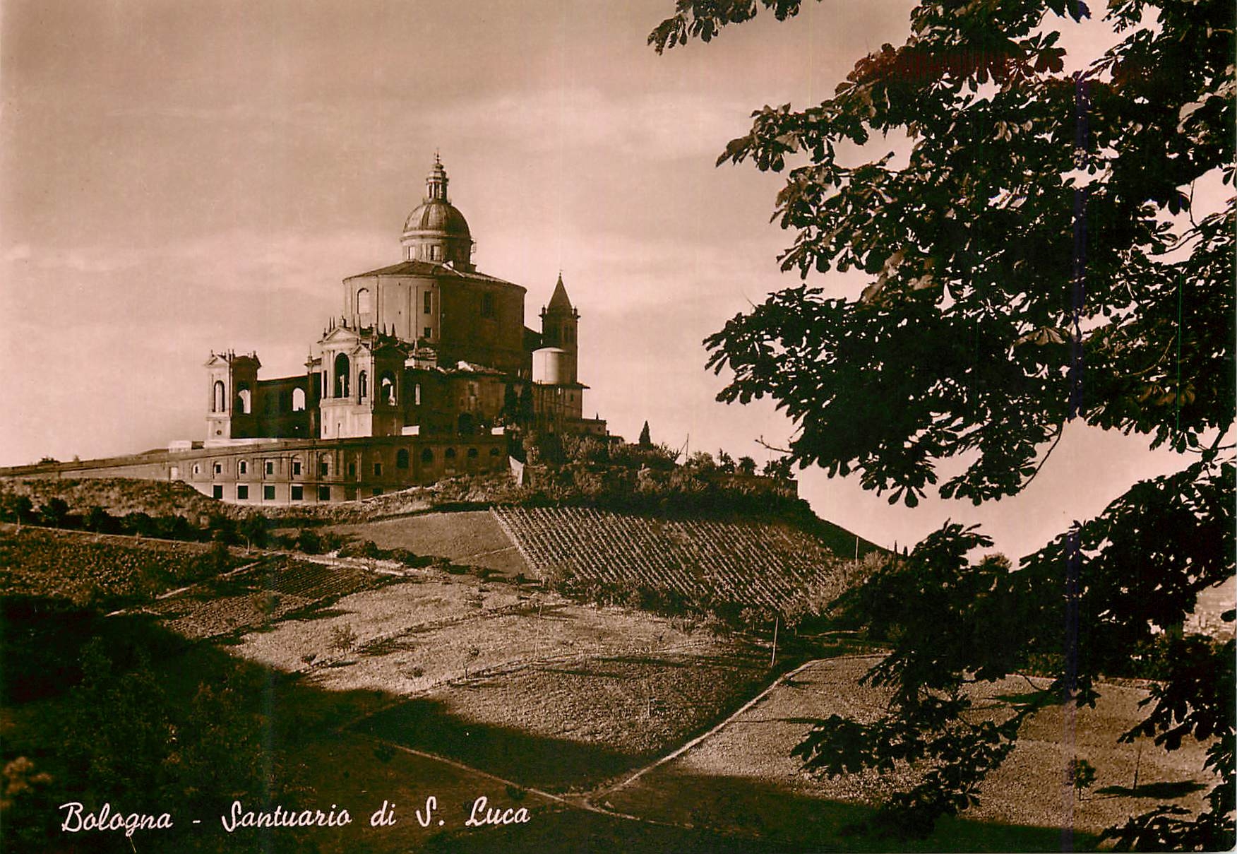 CPM Bologna Santuario di S. luca