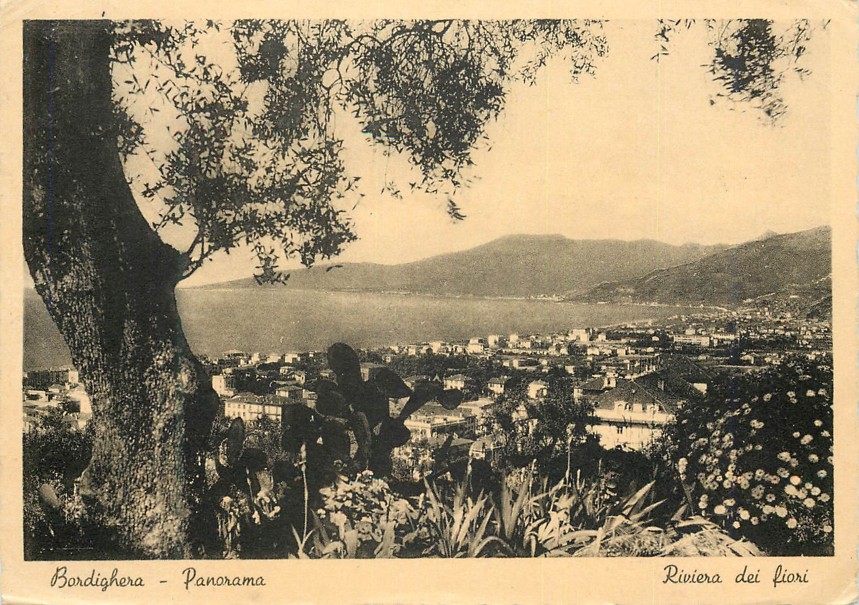 CPM Bordighera Panorama Riviera dei Fiori