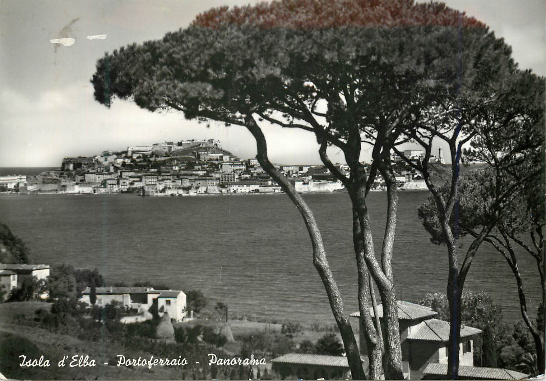 CPM Isola D'Elba Portoferraio Panorama