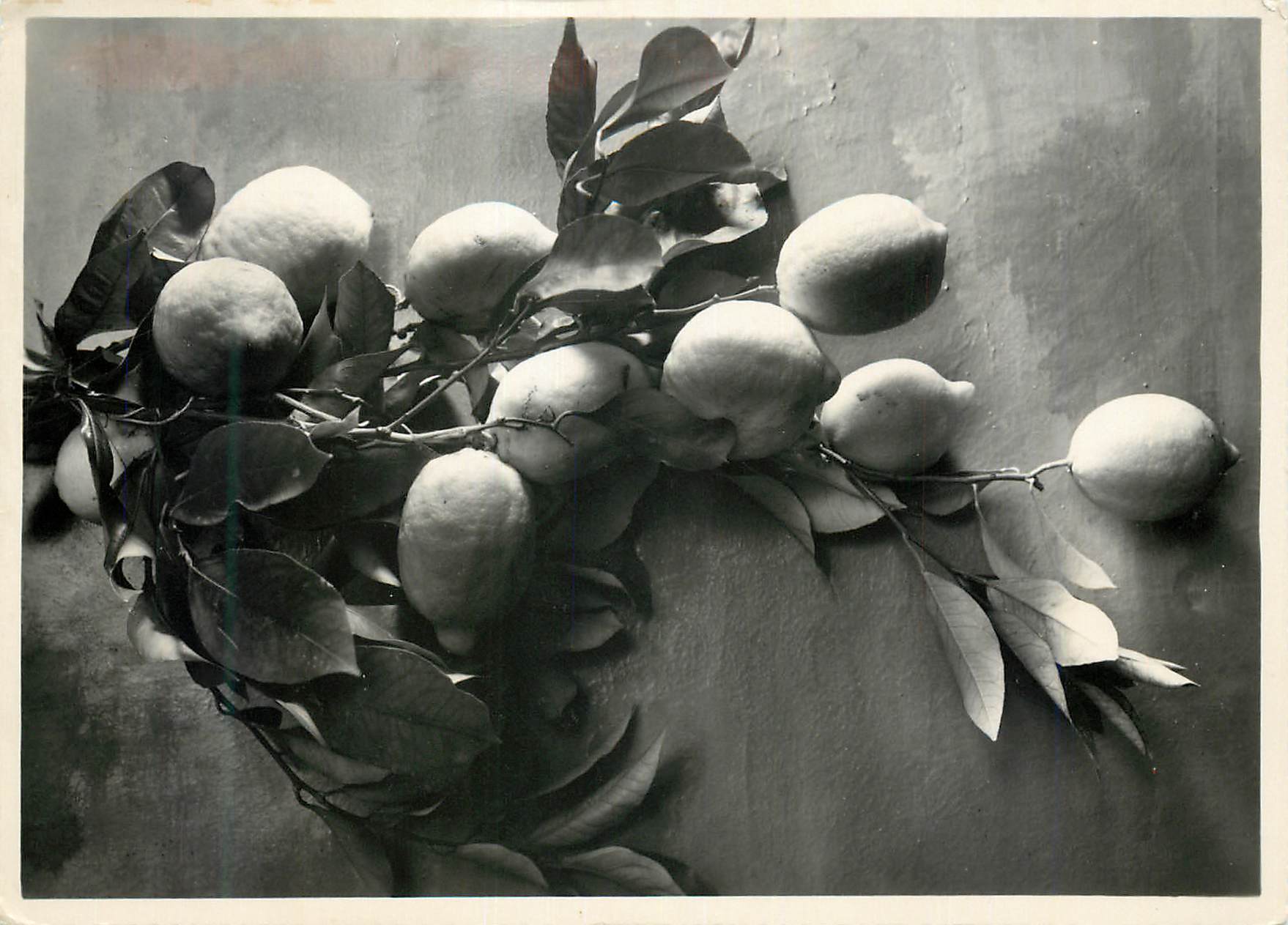 CPM Limoni del Garda