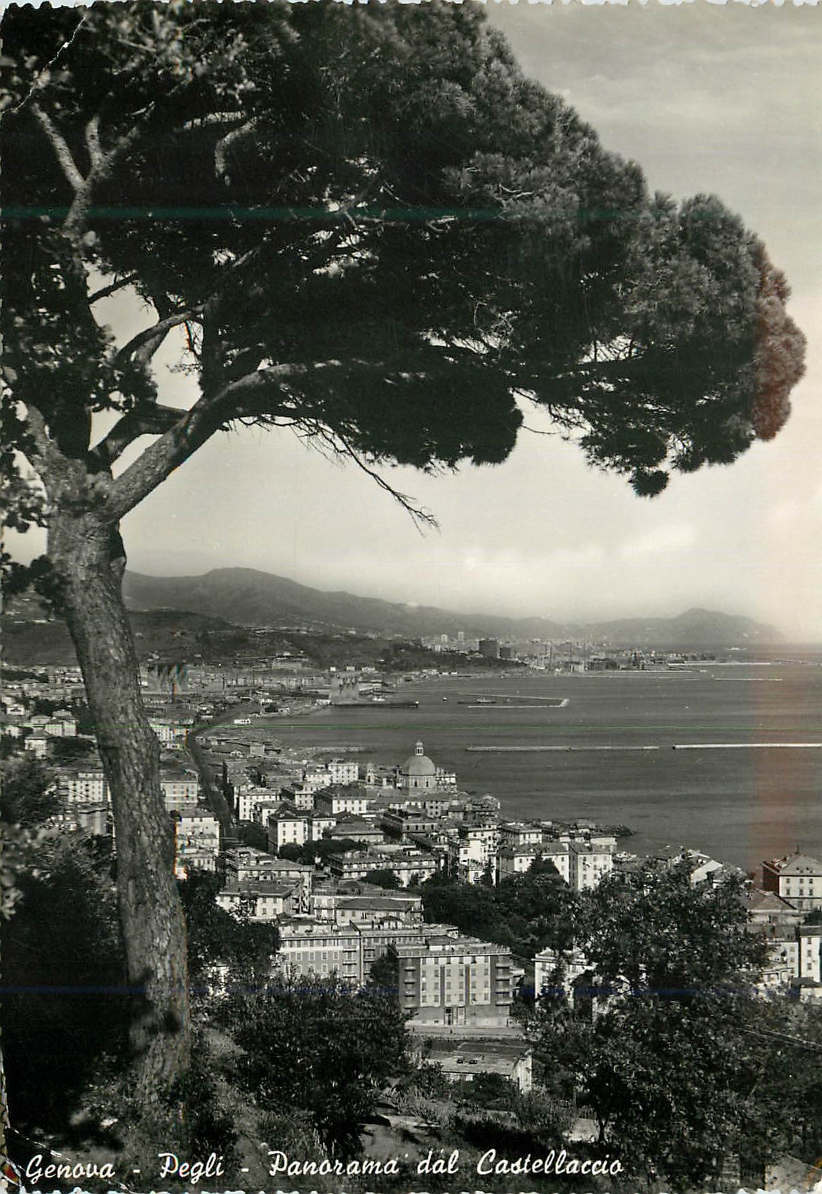 CPM Genova Degli Panorama dal Castellacio