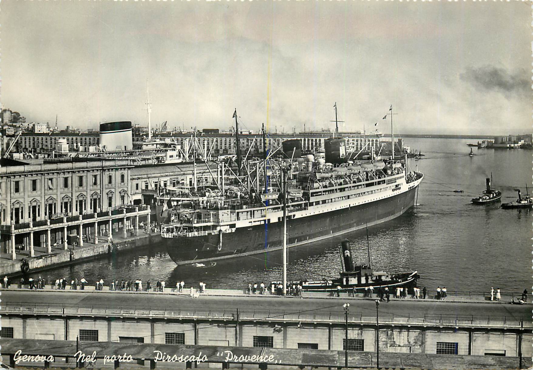 CPM Genova Nel Porto Piroscafo Provence Bateau