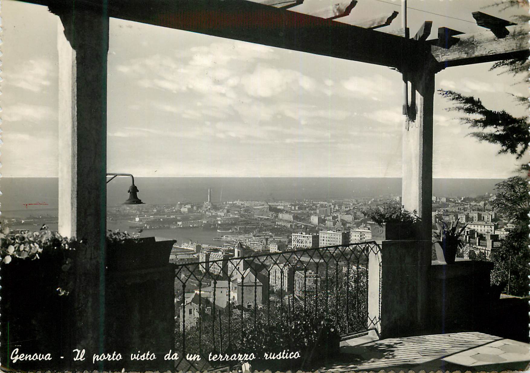 CPM Genova Il Porto visto da un Terrazzo Rustico
