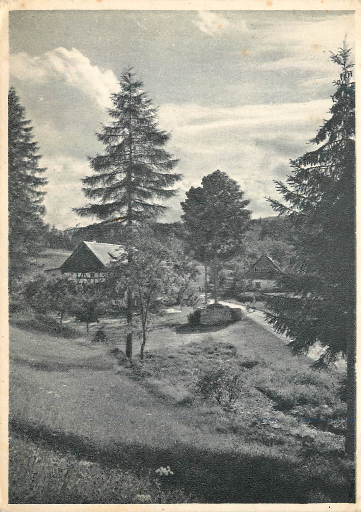 CPM Blu Reinickendorf