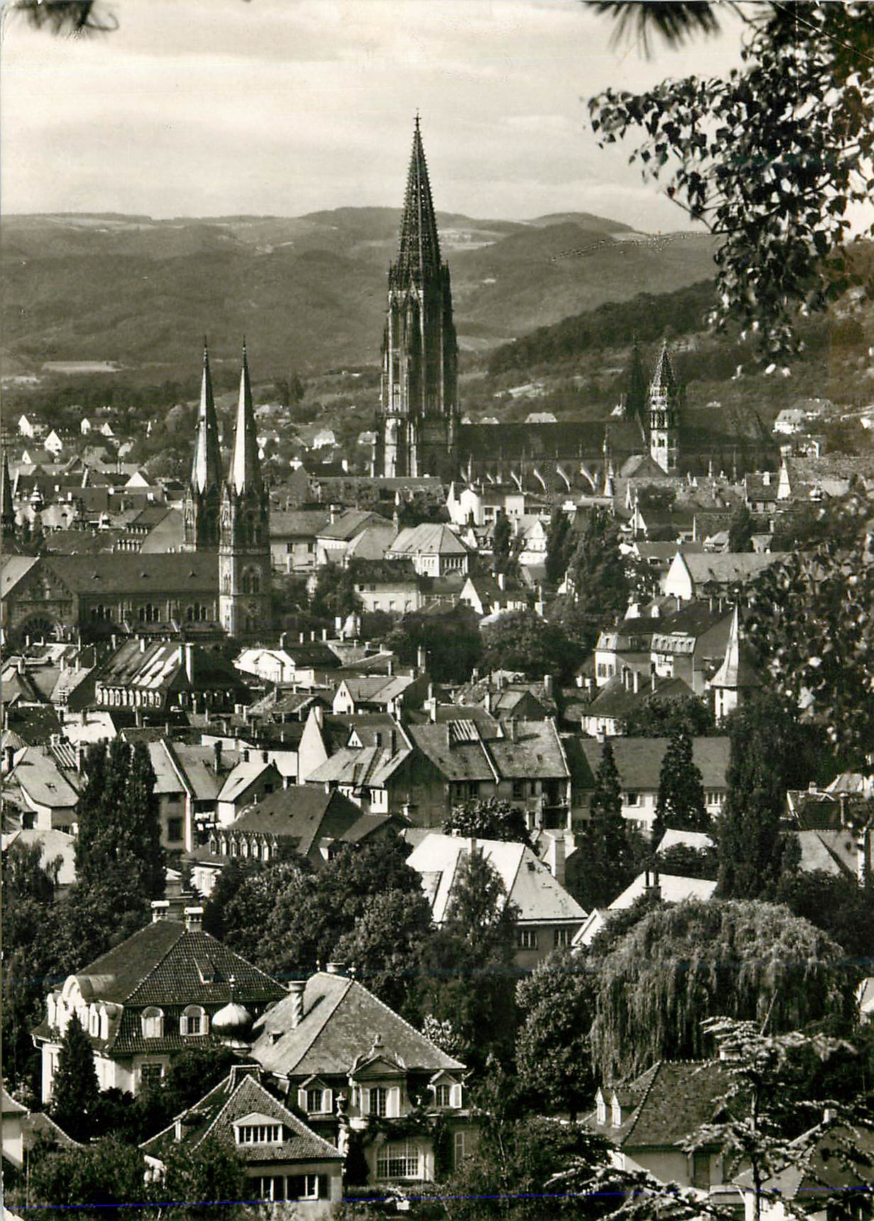 CPM Freiburg die Schwarzwaldhauptstadt
