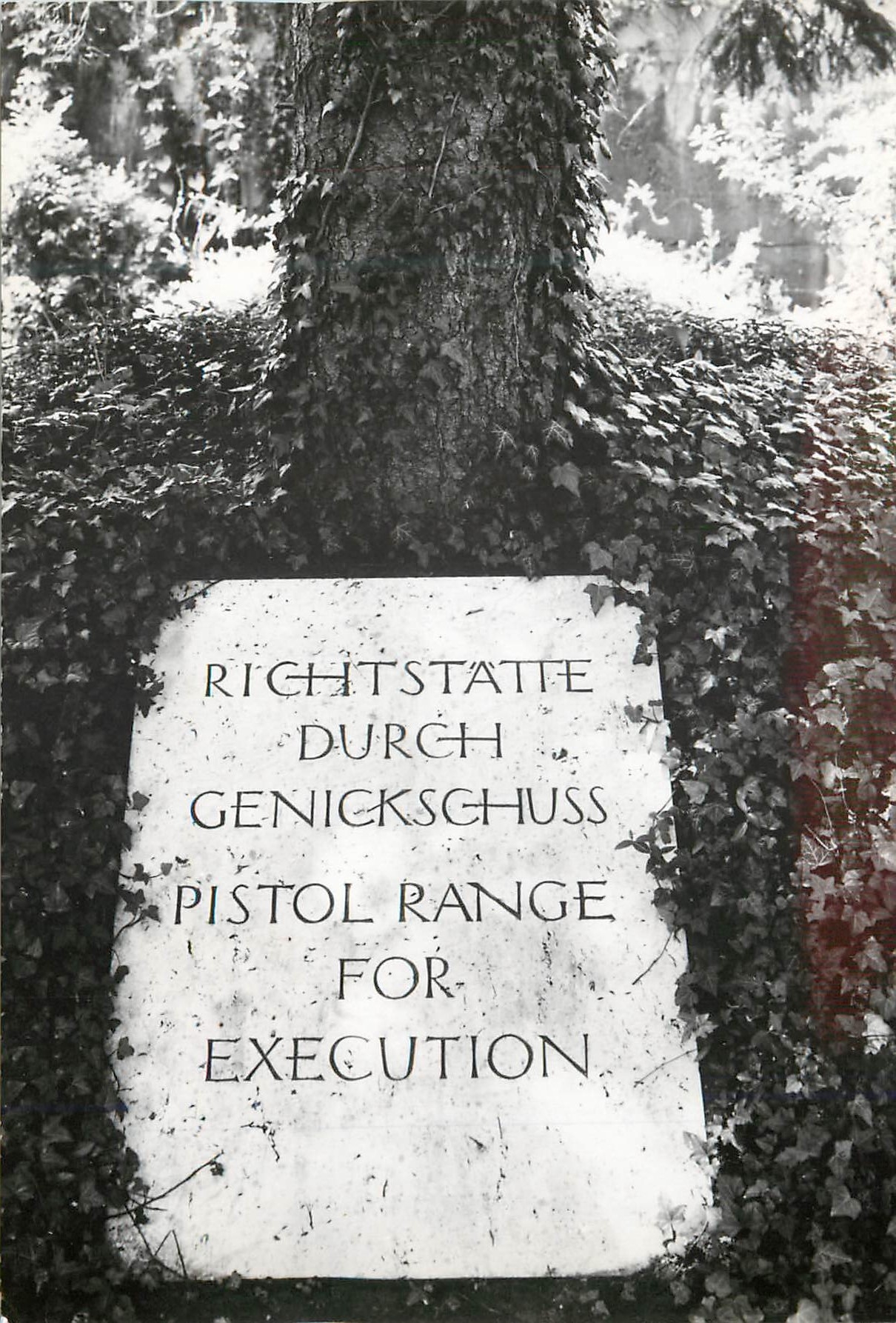 CPM Pistol Range for Execution