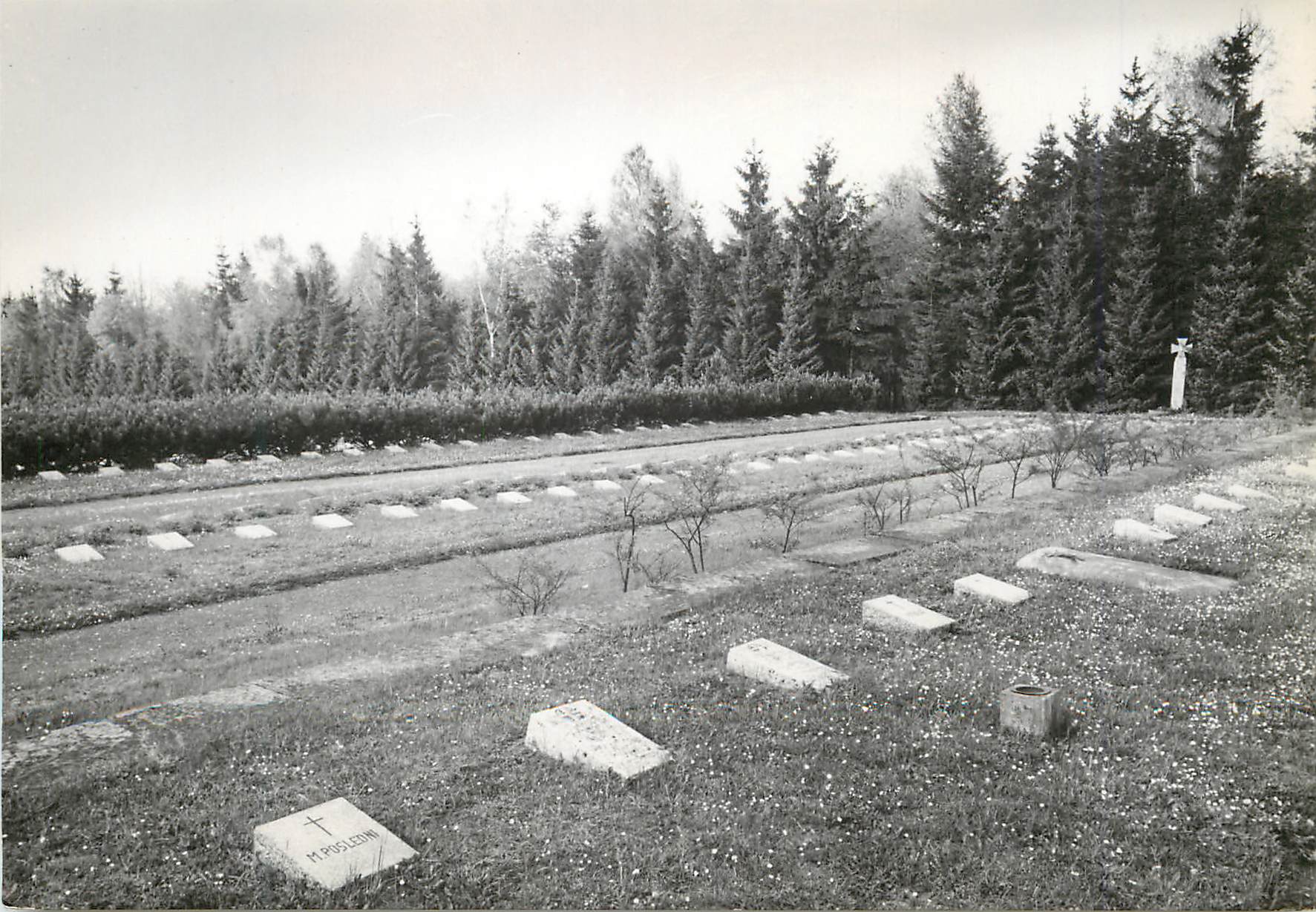 CPM Grave of Prisoners at the Waldfriedhof in Dachau