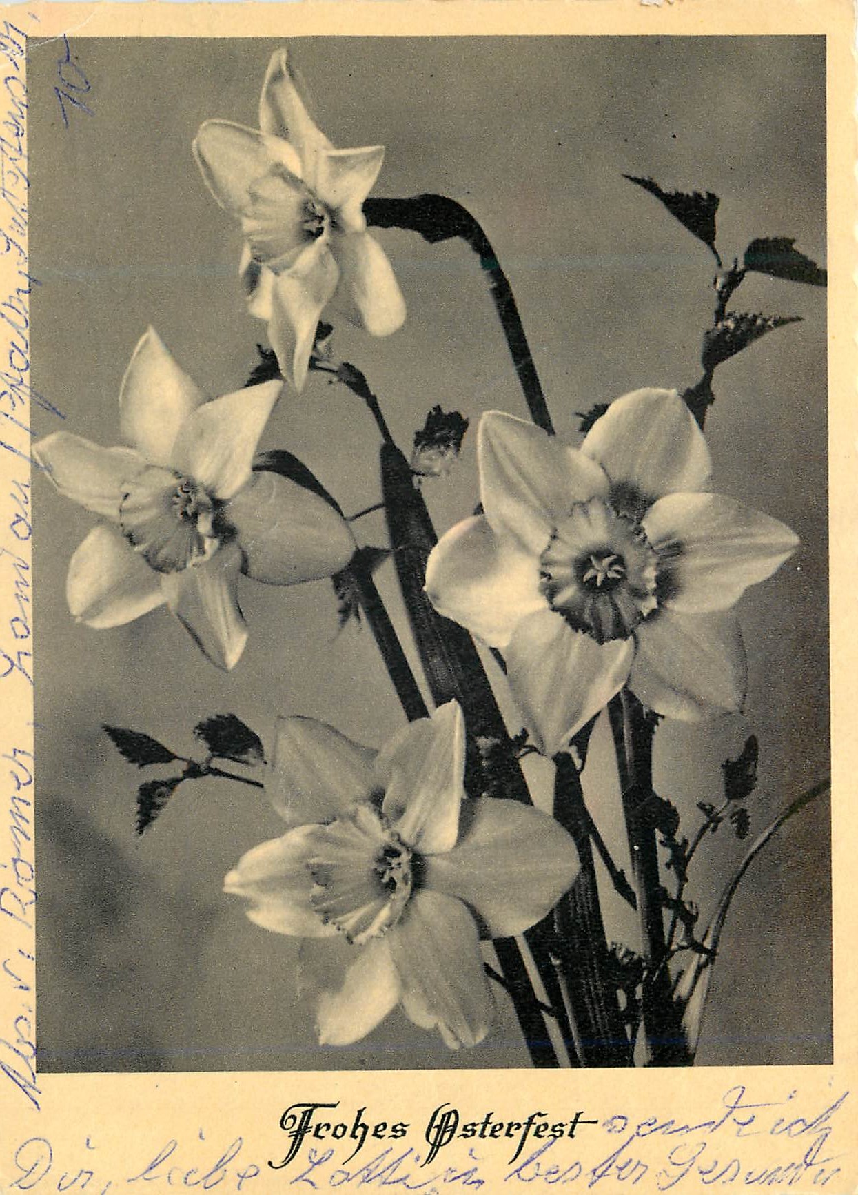CPM Frohes Osterfest Fleurs