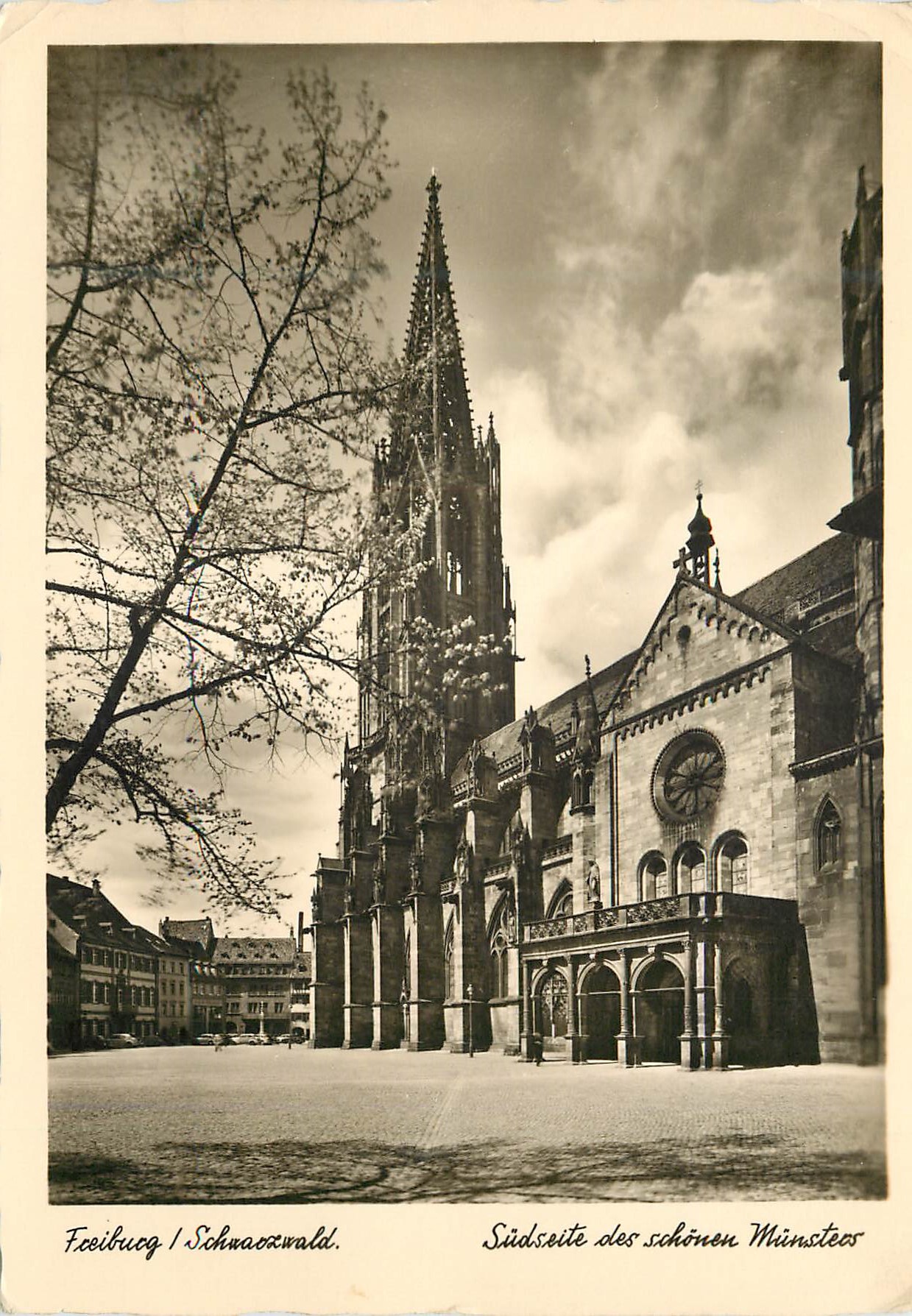 CPM Freiburg I Br Sudseite der Schonen Munster