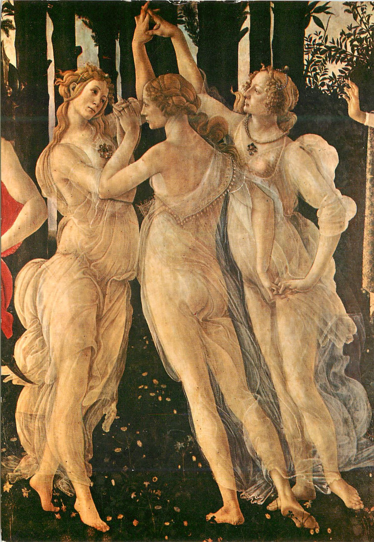 CPM Firenze Galleria Uffizi - Particolare della Primavera