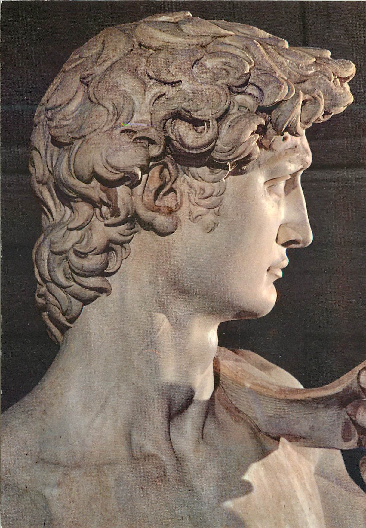 CPM Firenze Galleria D'Accademia - David di Michelangelo Monument Particolare