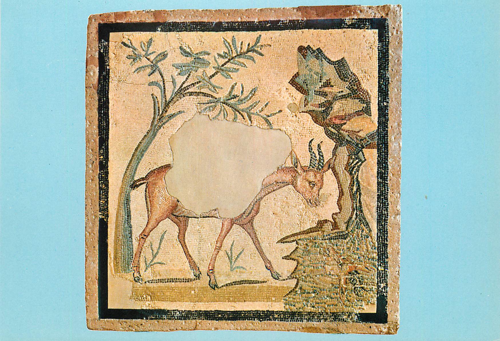 CPM Agrigento Museo - Emblema murivo di una gazzella alla fonte