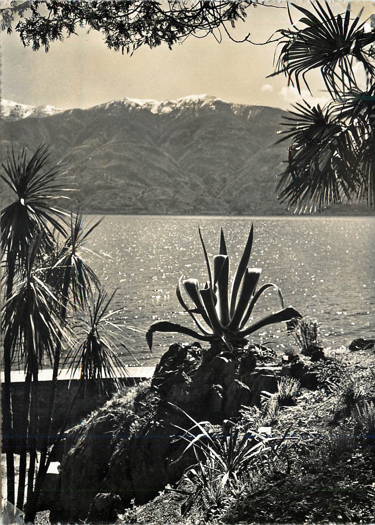 CPM Isole di Brissago - Parco botanico del Cantone Ticino