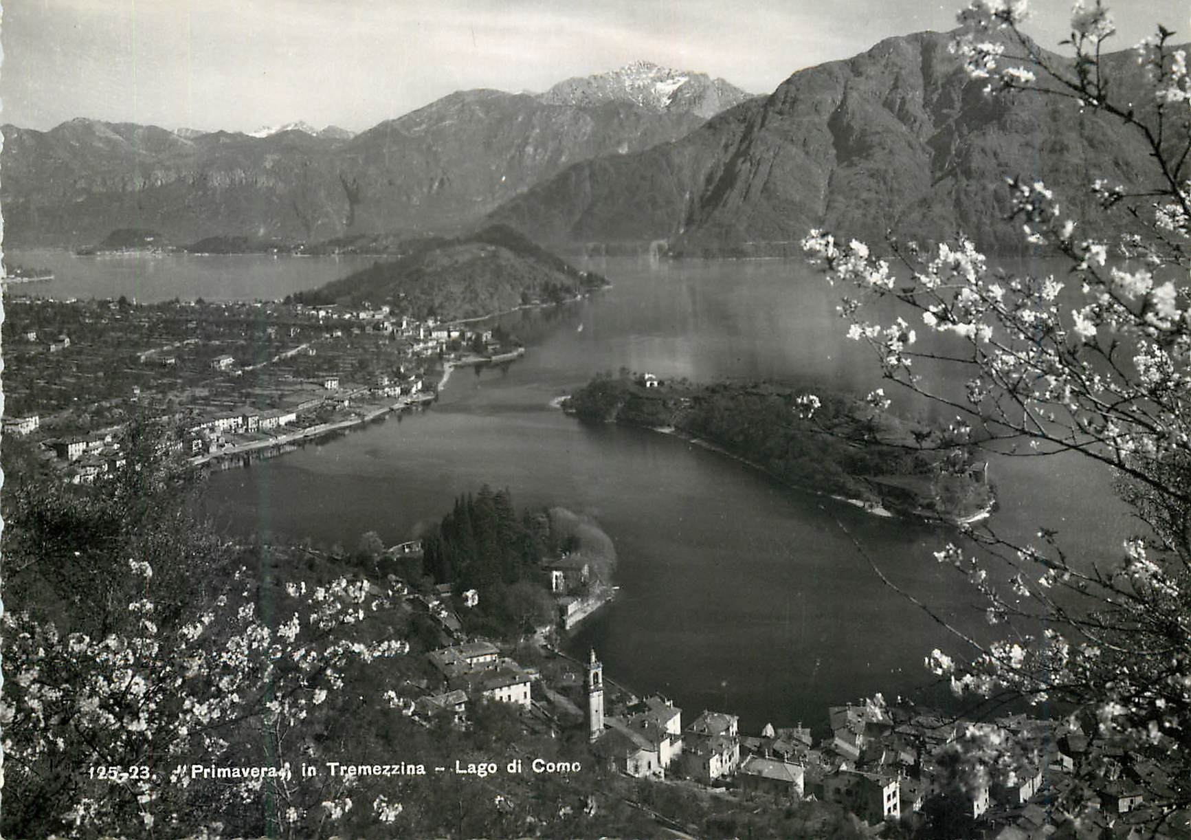 CPM Lago di Como - Primavera in Tremezzina