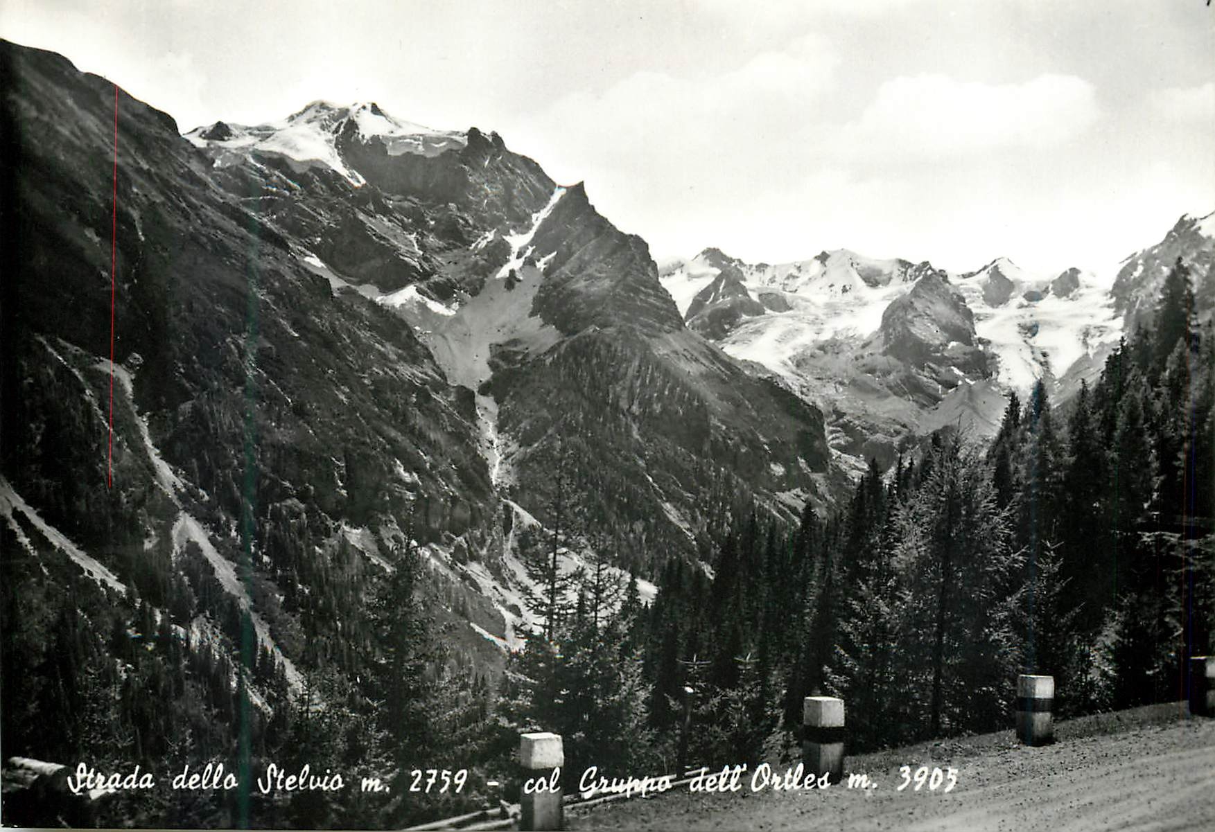 CPM Strada dello Stelvio Bolzano - Gruppo dell'Ortles