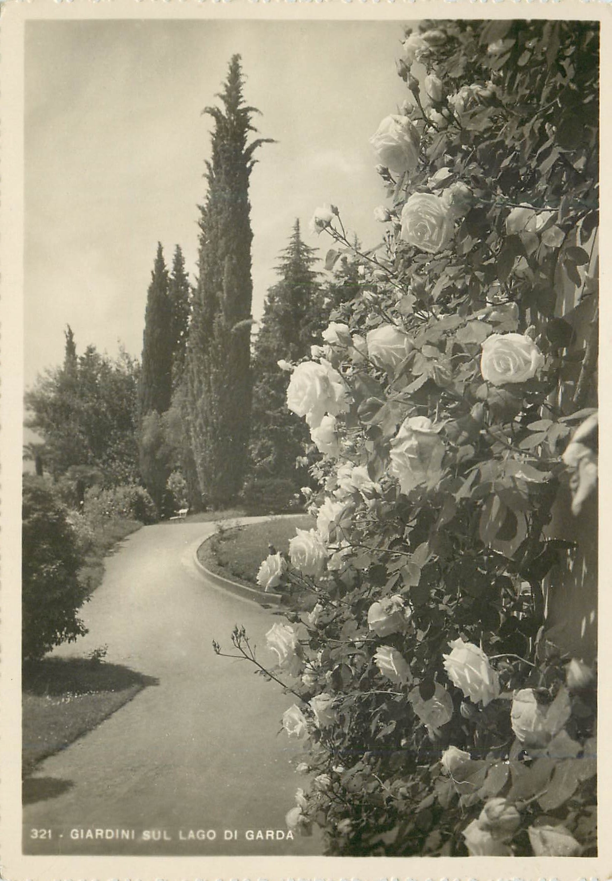 CPM Giardini sul Lago di Garda Italia