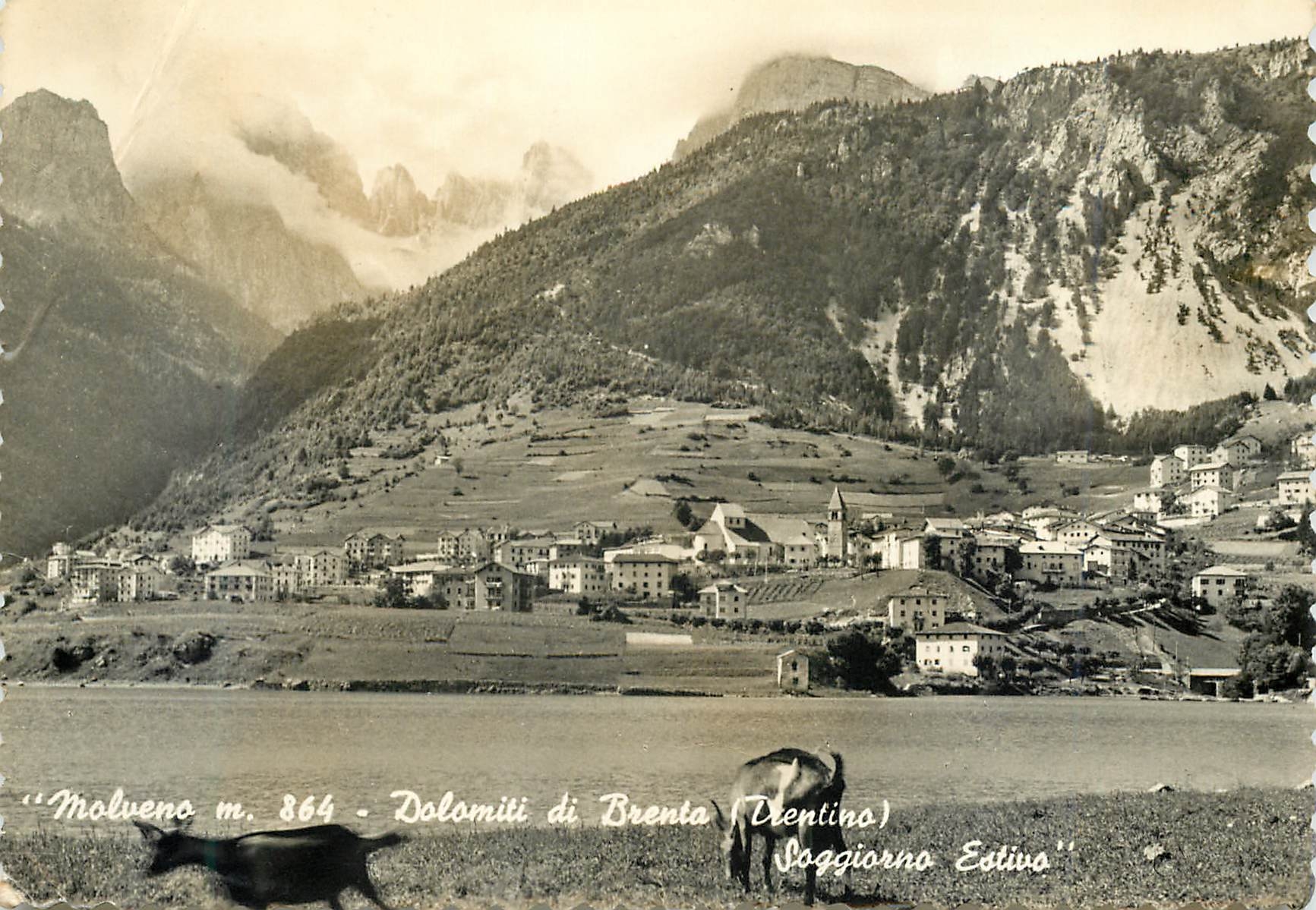CPM Molveno m 864 Dolomiti di Brenta Dtentino Soggiorno Estivo
