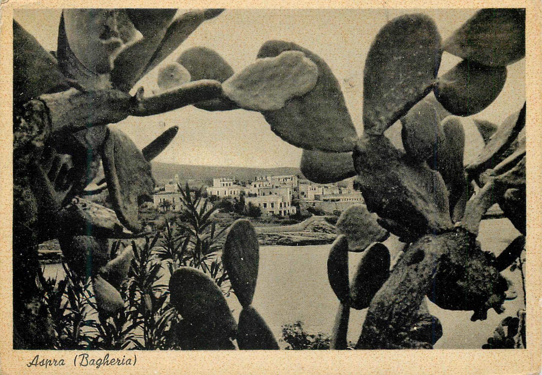 CPM Aspra (Bagheria) La Nature S'Entoure