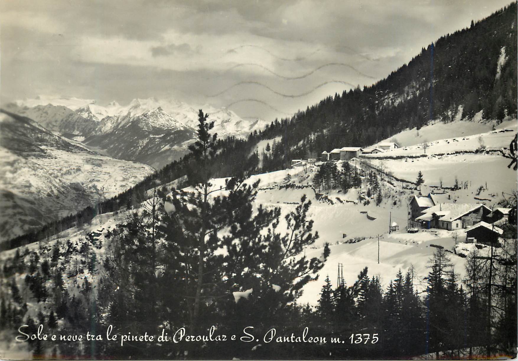 CPM Sole e Neve Tra Le Pinete di Peroulaz e S Pantaleon m 1375