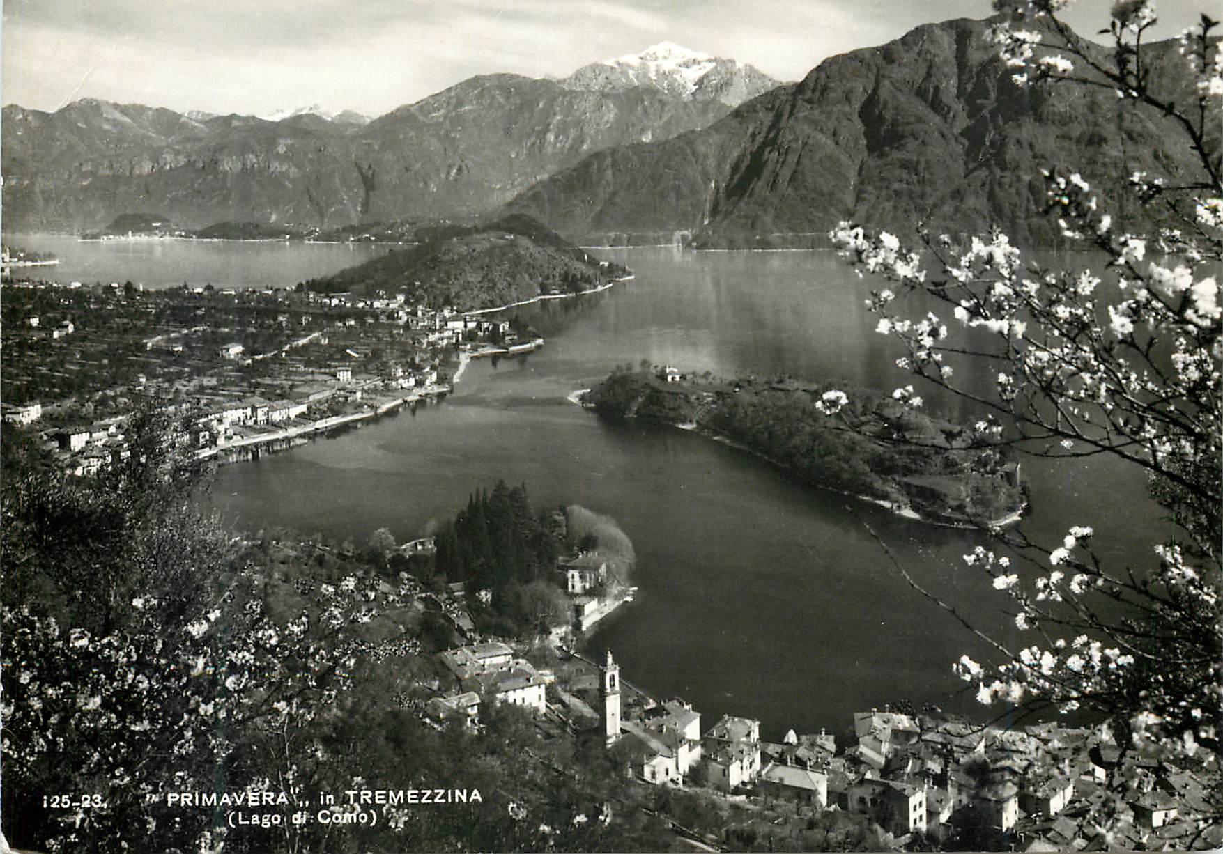 CPM Primavera in Tremezzina (Lago di camo)