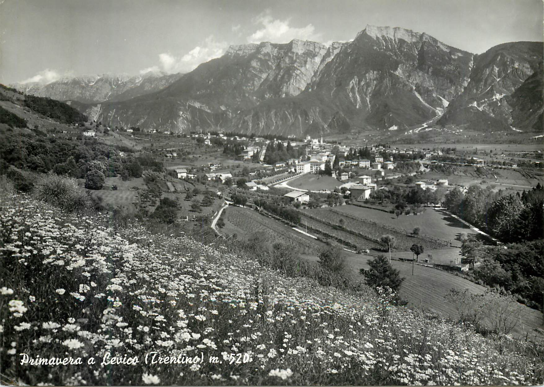 CPM Primavera a Livico (Trentino) m 520