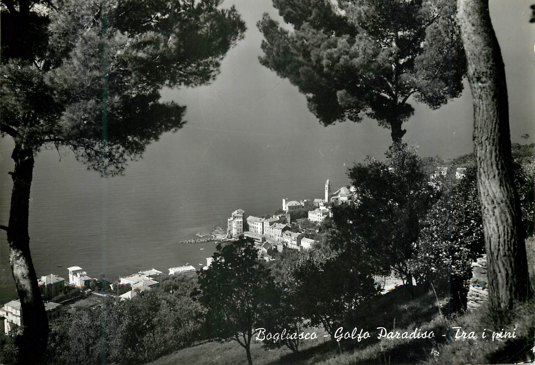 CPM Bogliasco Golfo Paradiso Parmi les Pins