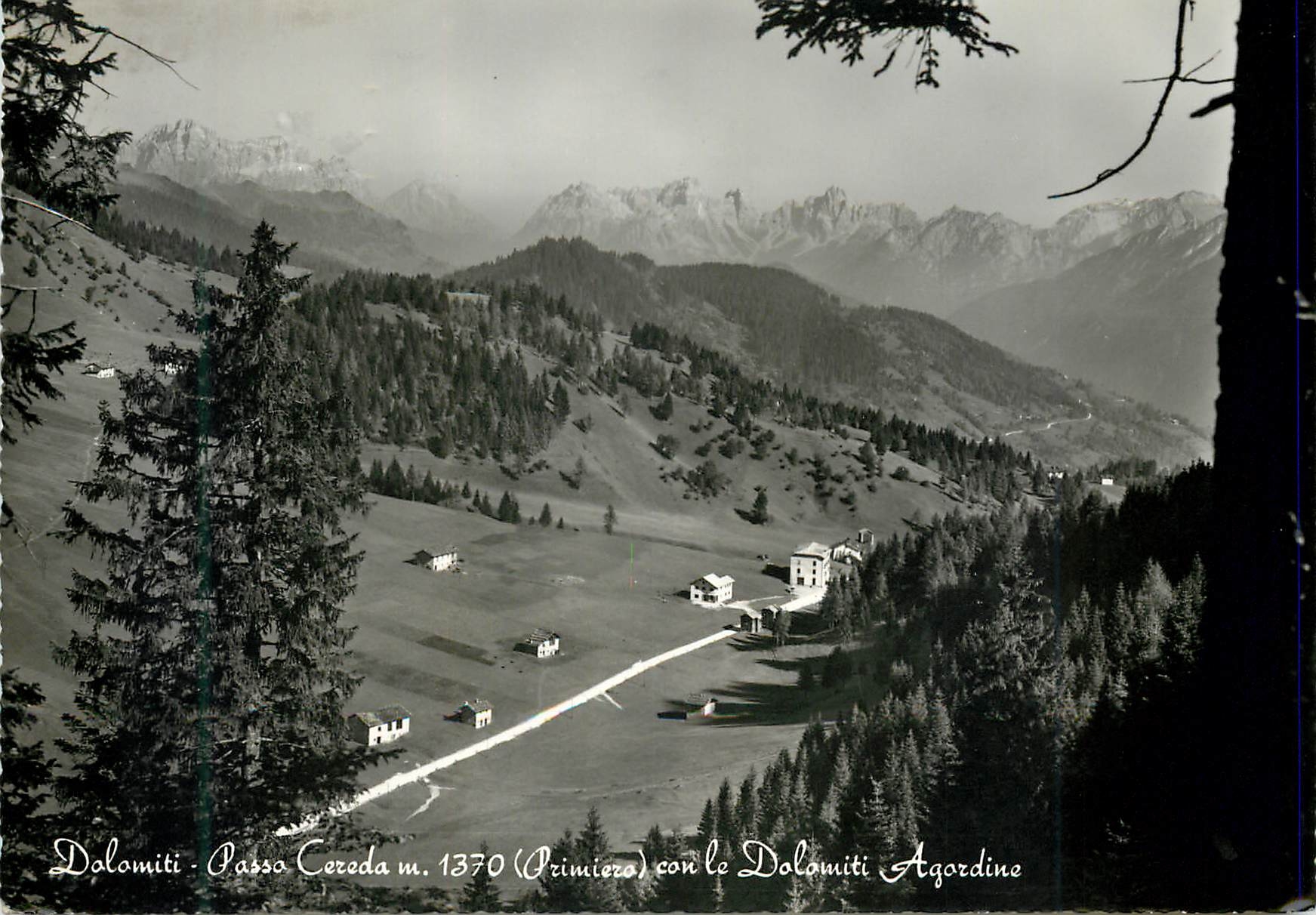 CPM Dolomiti Passo Cereda m 1370 (Primiero) Con Le Dolomiti Agordine