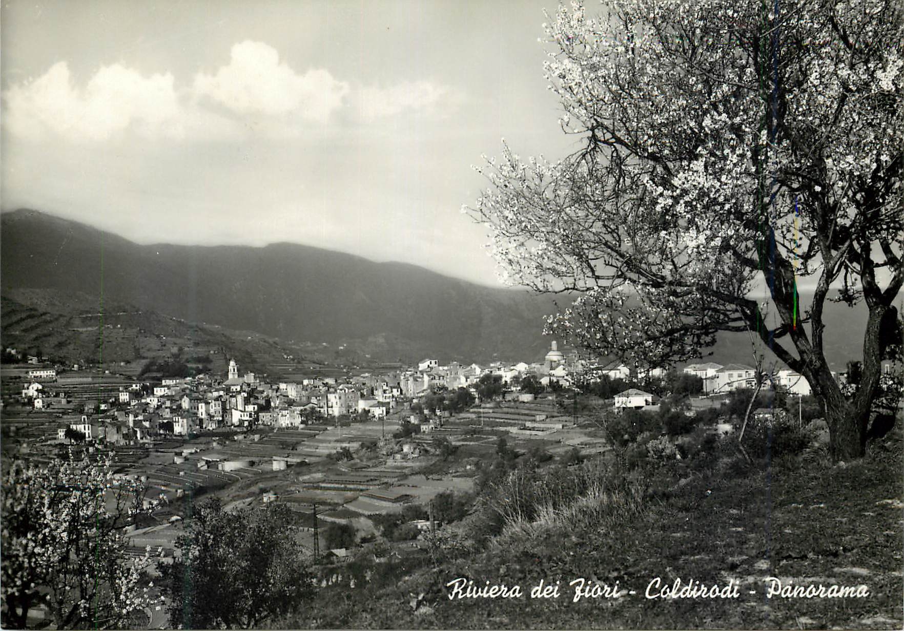 CPM Riviera dei Fiori Coldirodi Panorama