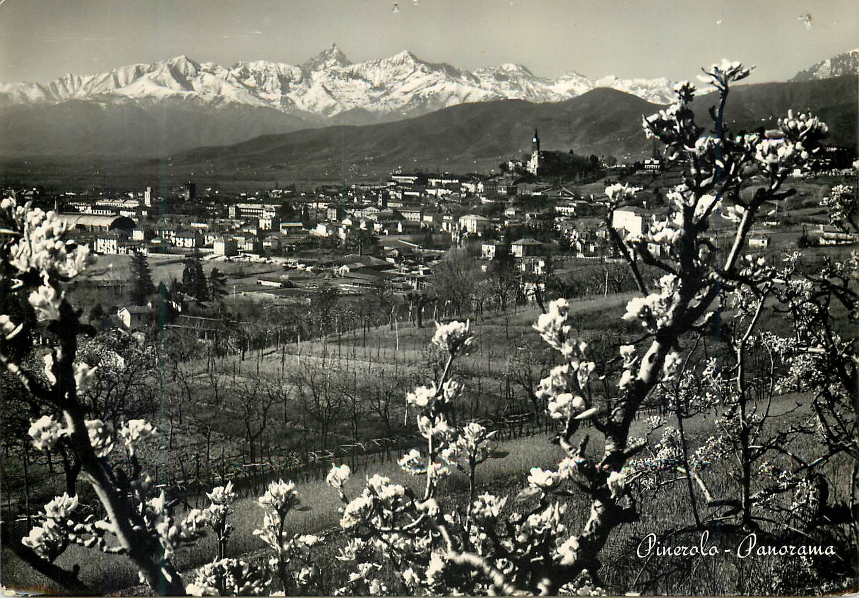 CPM Pinezolo Panorama
