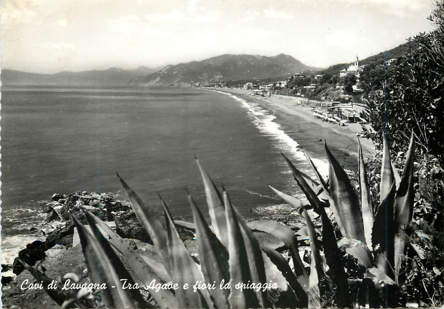 CPM Cavi di Lavagna Tra Agave e Fiori la Spiaggia