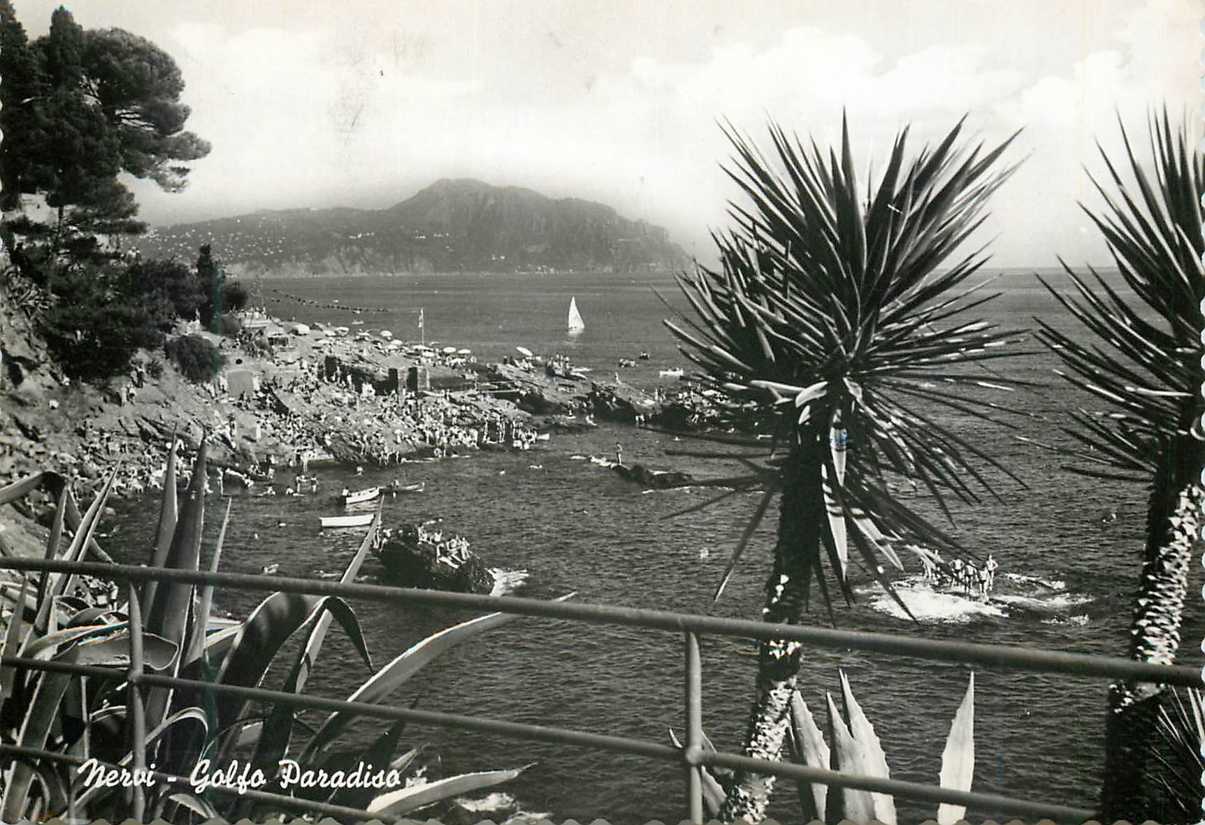 CPM Nervi Golfo Paradiso
