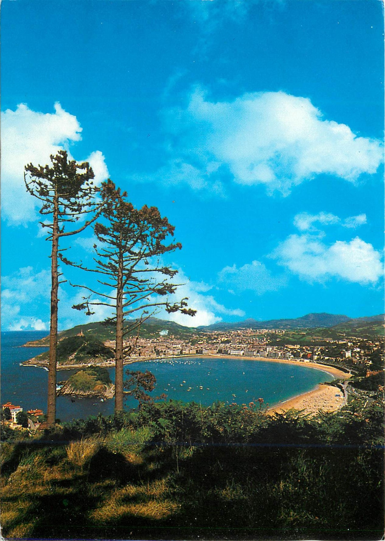 CPM San Sebastian Vue Generale du Mont Igueldo