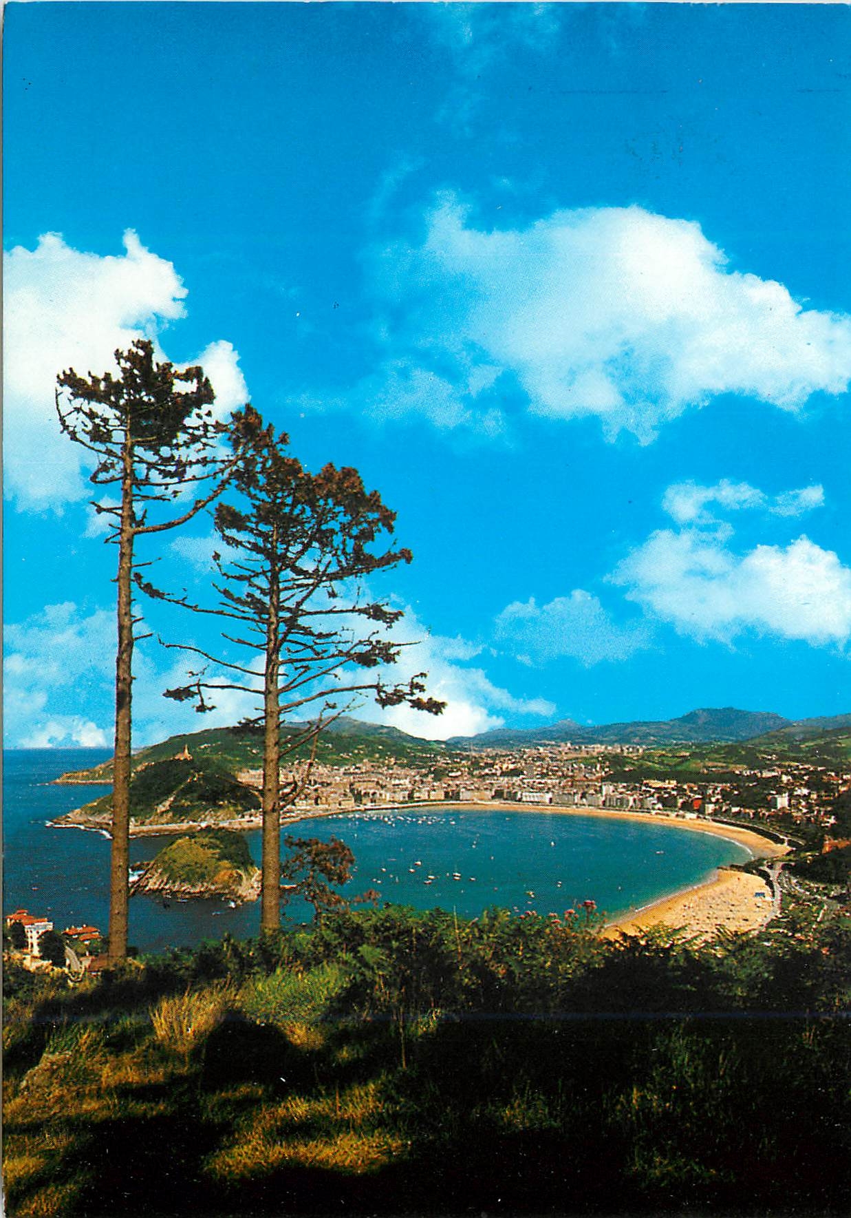 CPM San Sebastian Vue Generale du Mont Igueldo