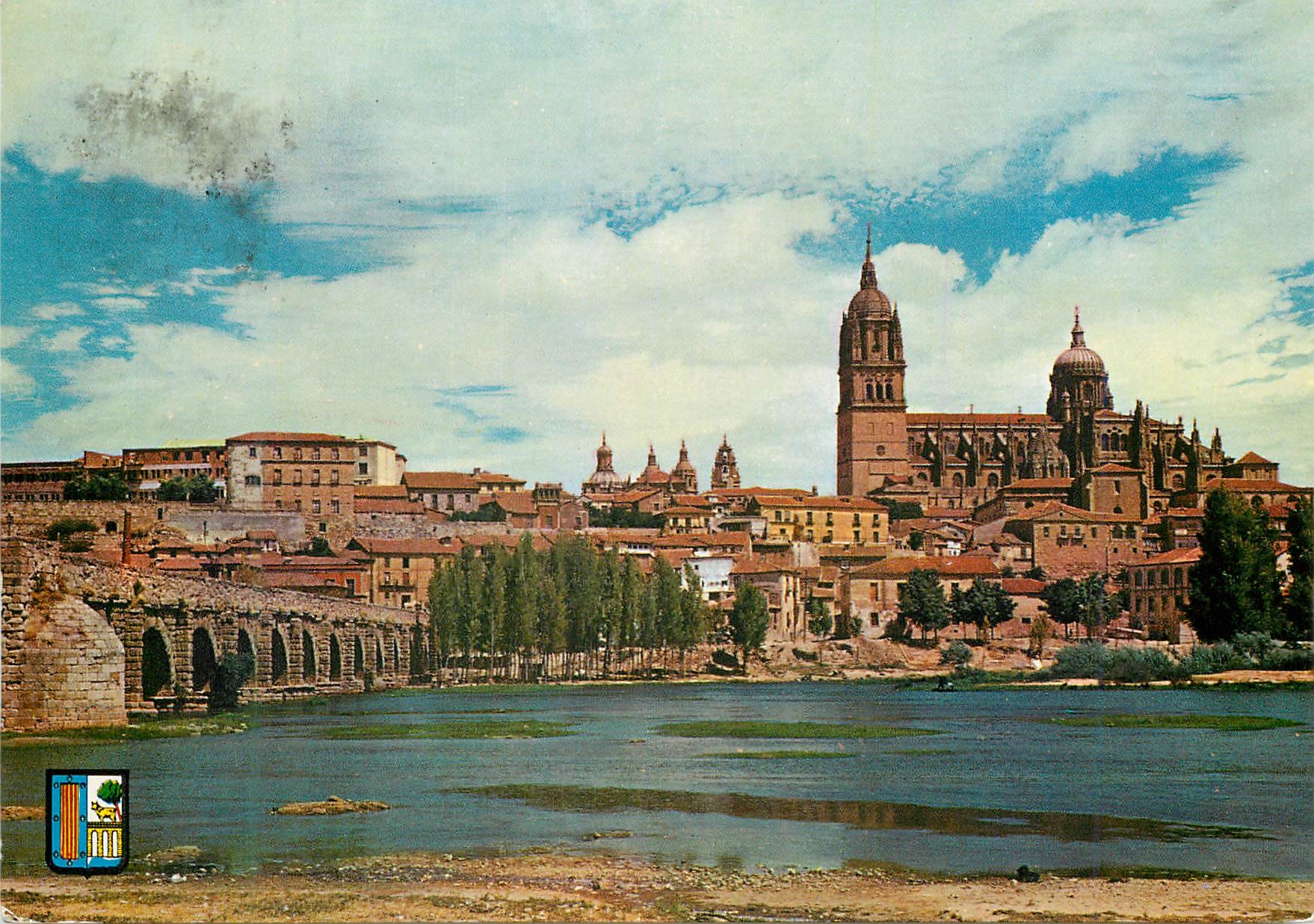 CPM Salamanca vue partielle et pont roman
