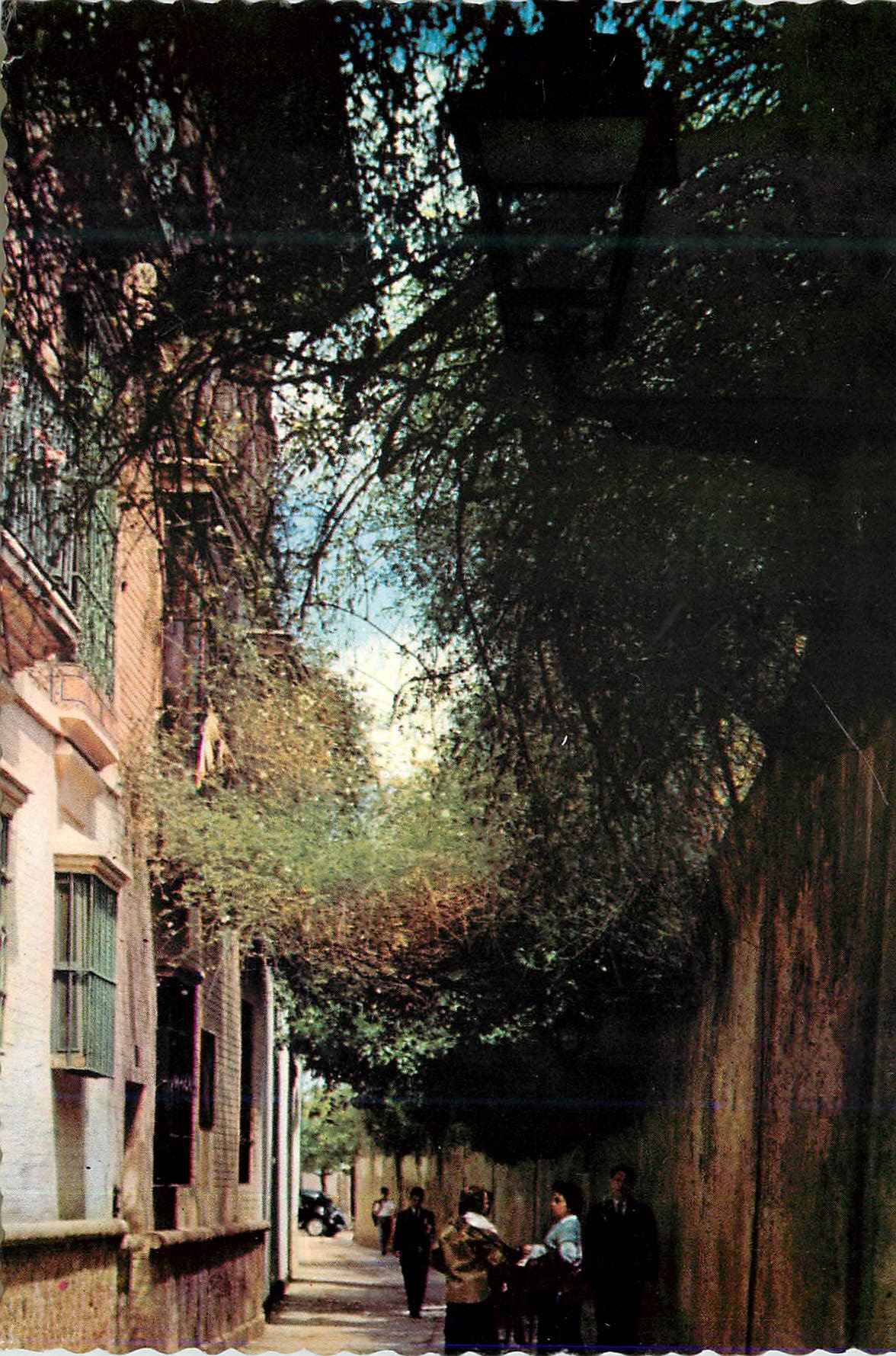 CPM Sevilla petite ruelle