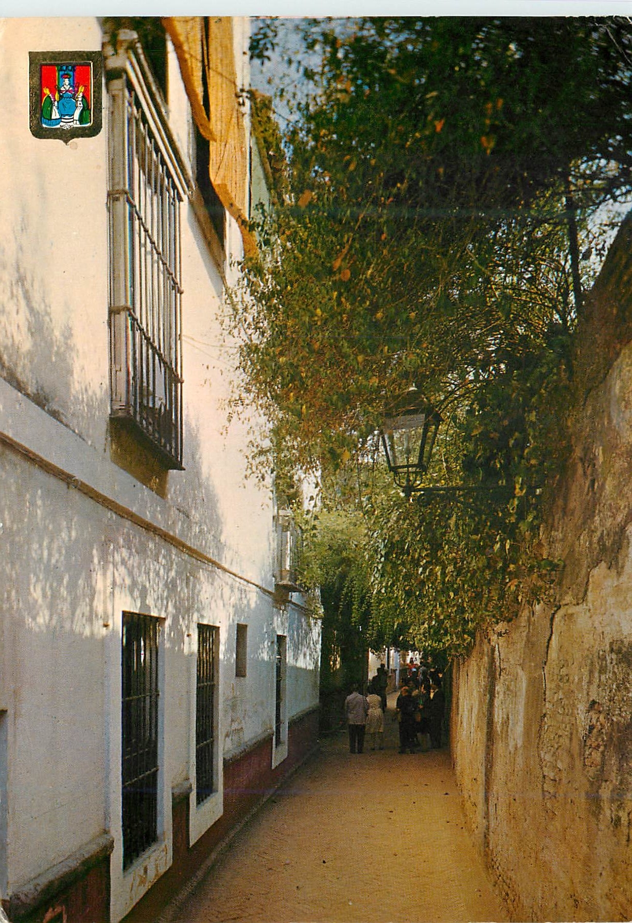 CPM Sevilla sevilla typique ruelle d'eau