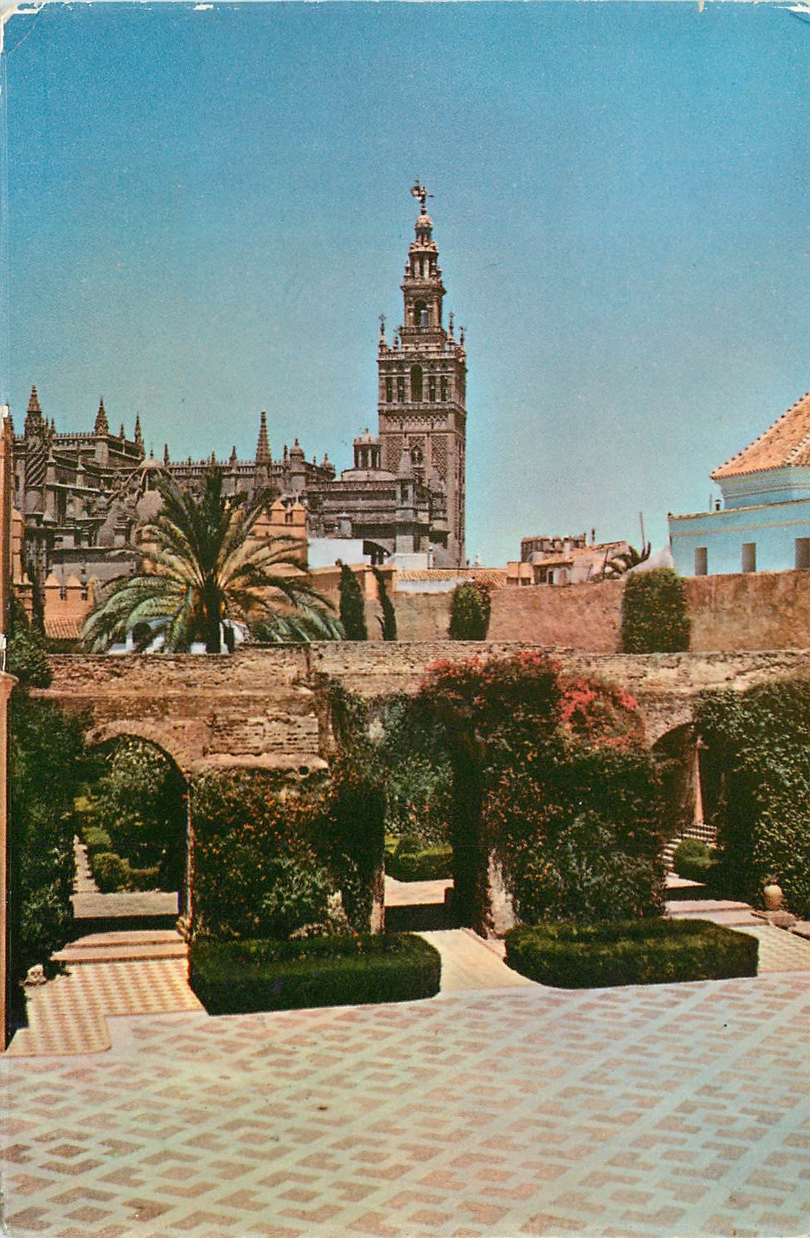 CPM Sevilla patio d'alcazar au fond la giralda