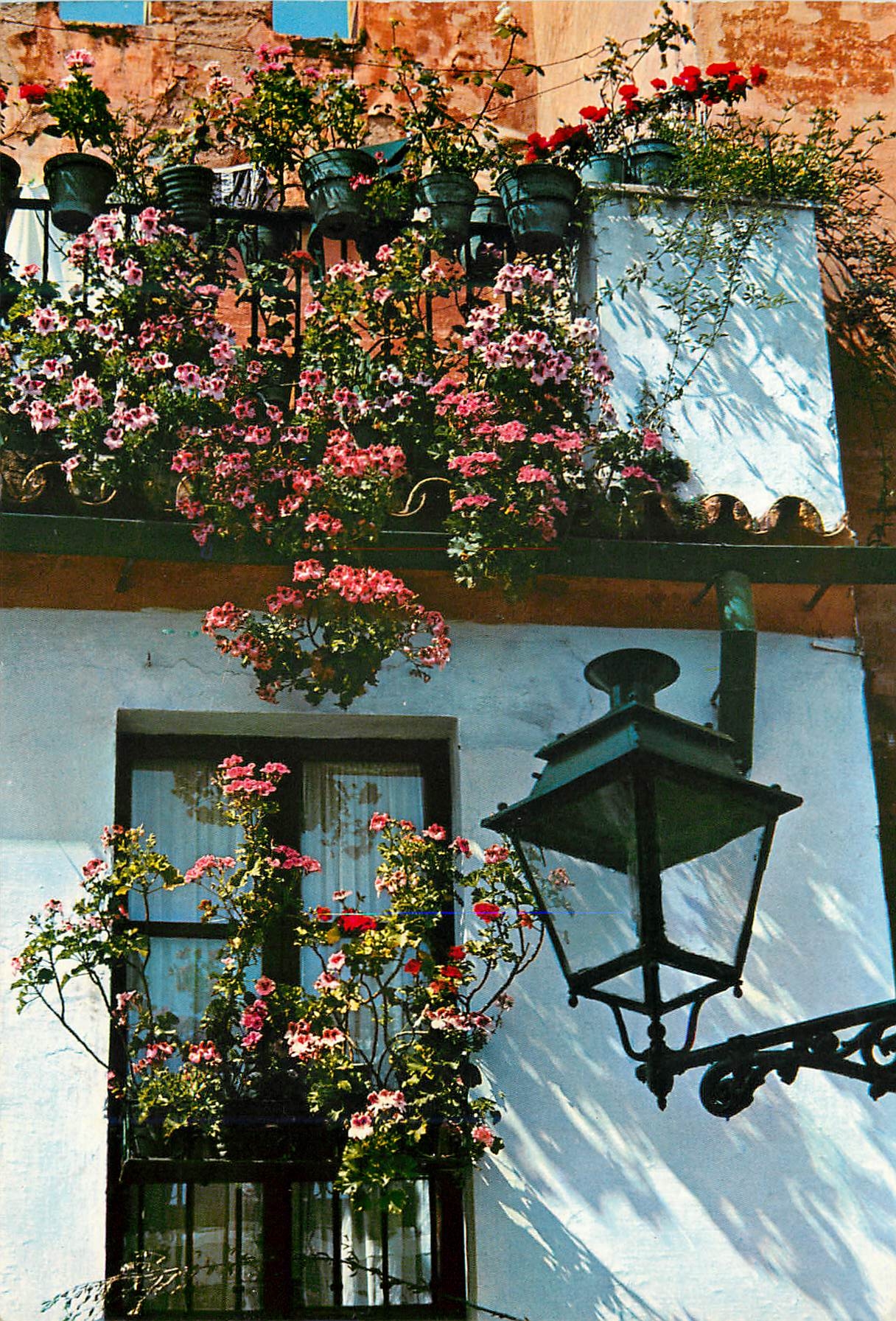 CPM Sevilla barrio de santa cruz detalle