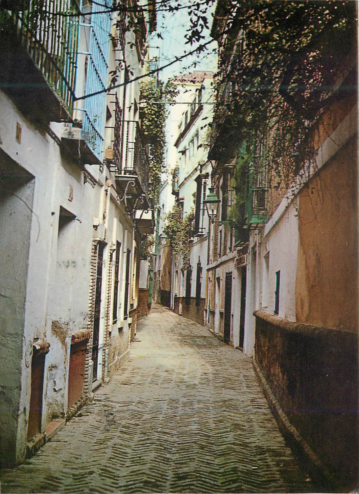 CPM Sevilla rue de la poivre