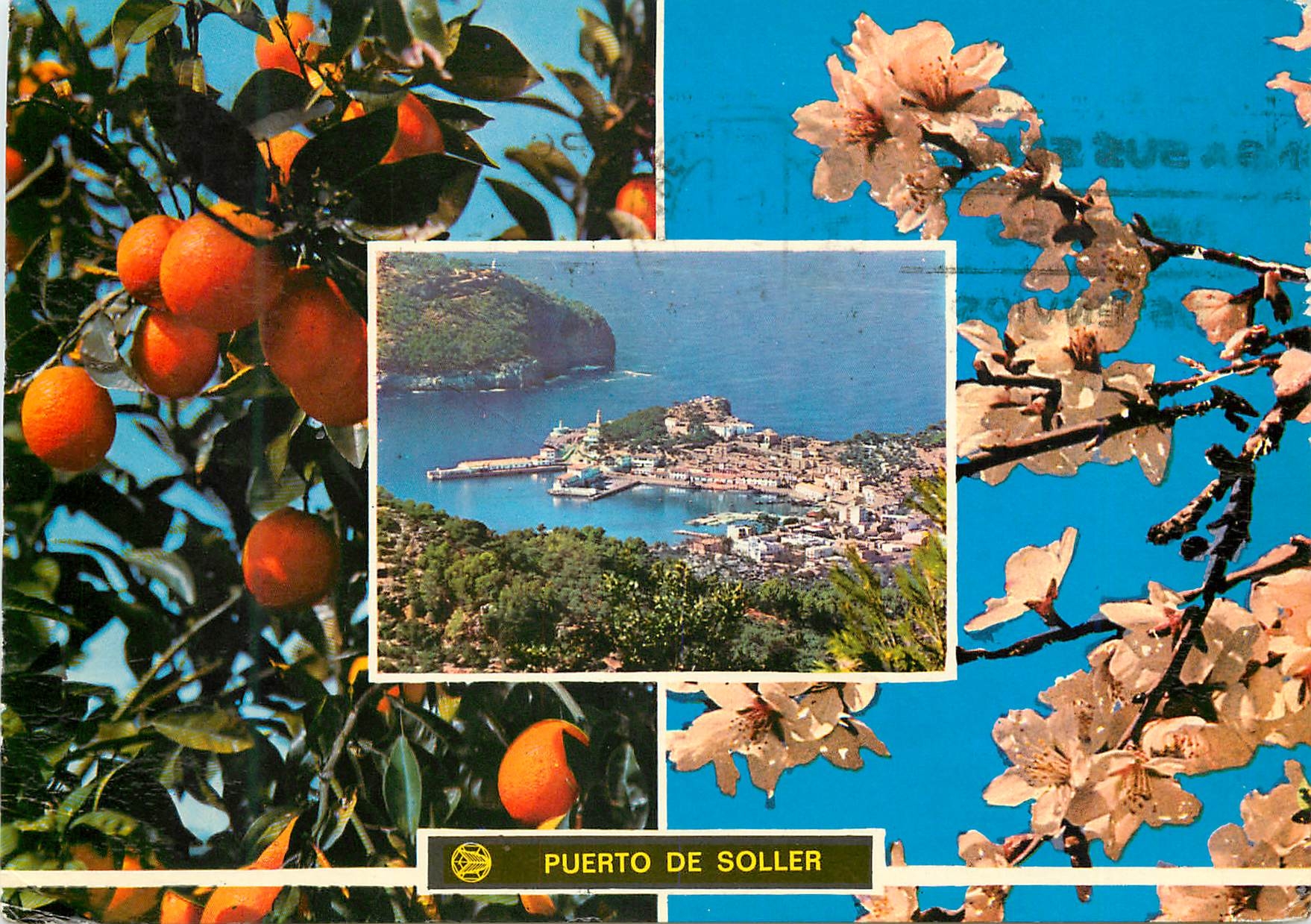 CPM Puerto de soller mallorca (baleares) naranjos y flor de almendro