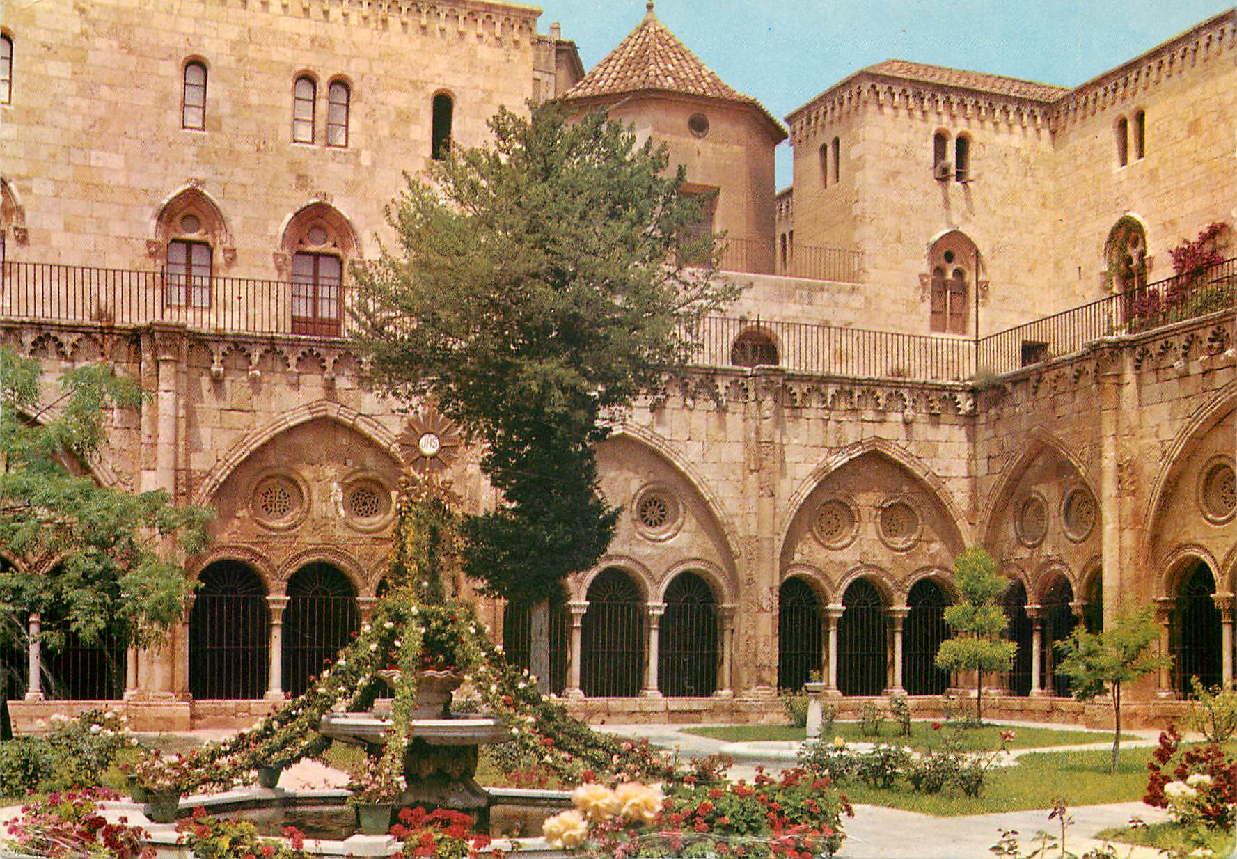 CPM Tarragona (Costa Dorada) Cathedrale Jardin dans le Cloitre