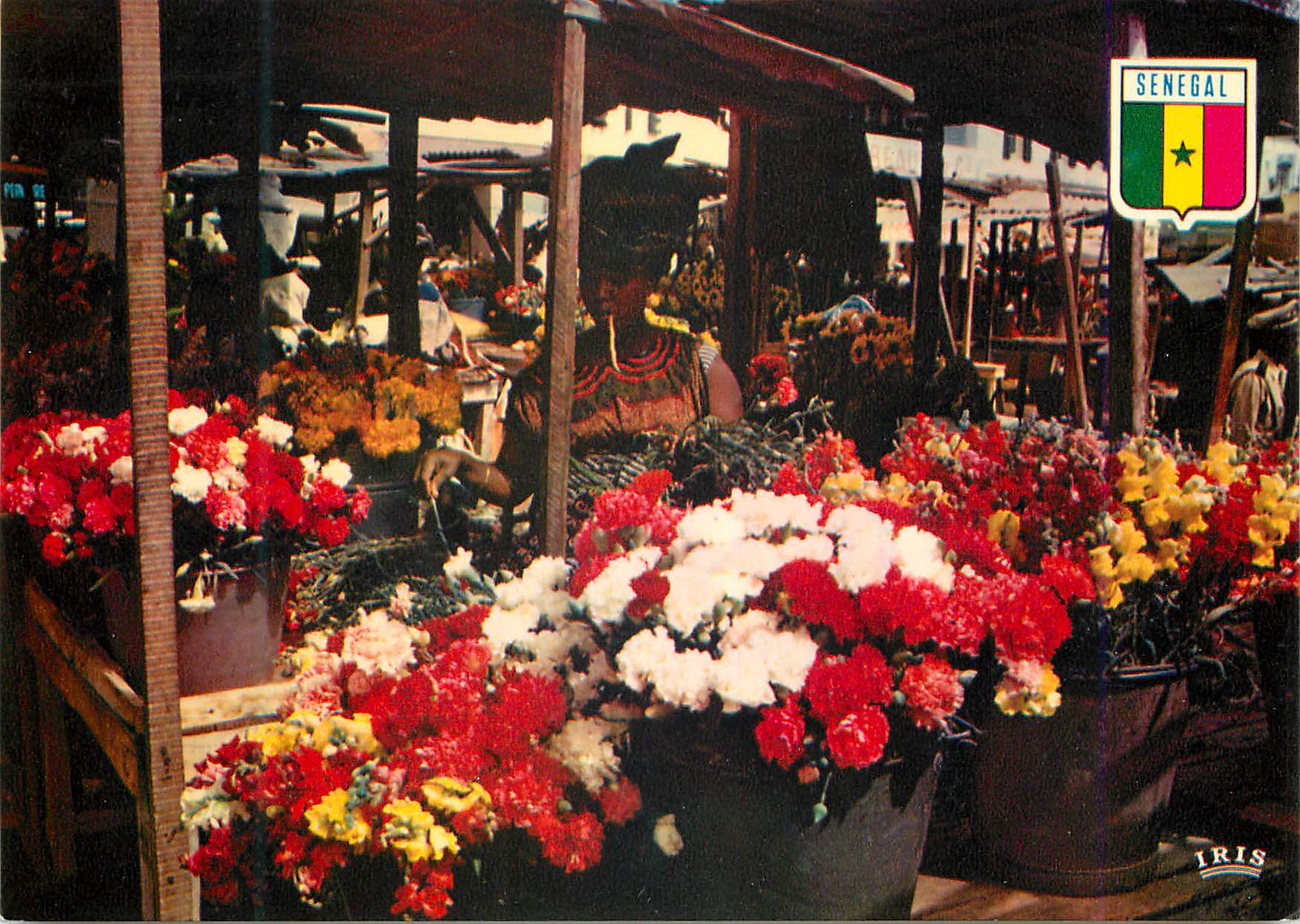 CPM Senegal Dakar Marche aux fleurs de Kermel