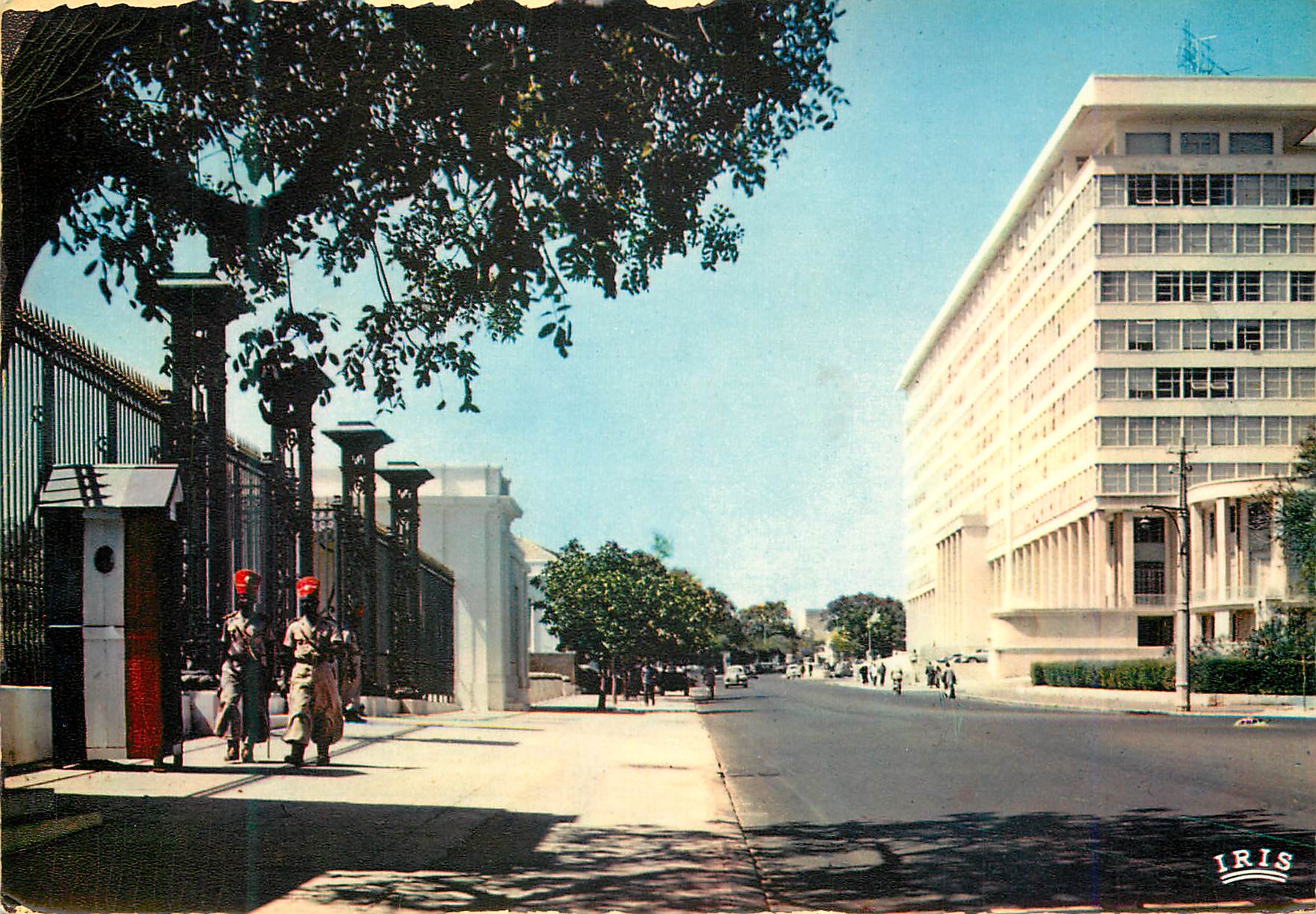CPM Senegal Dakar Le building du Gouvernement General et l'Avenue Roume