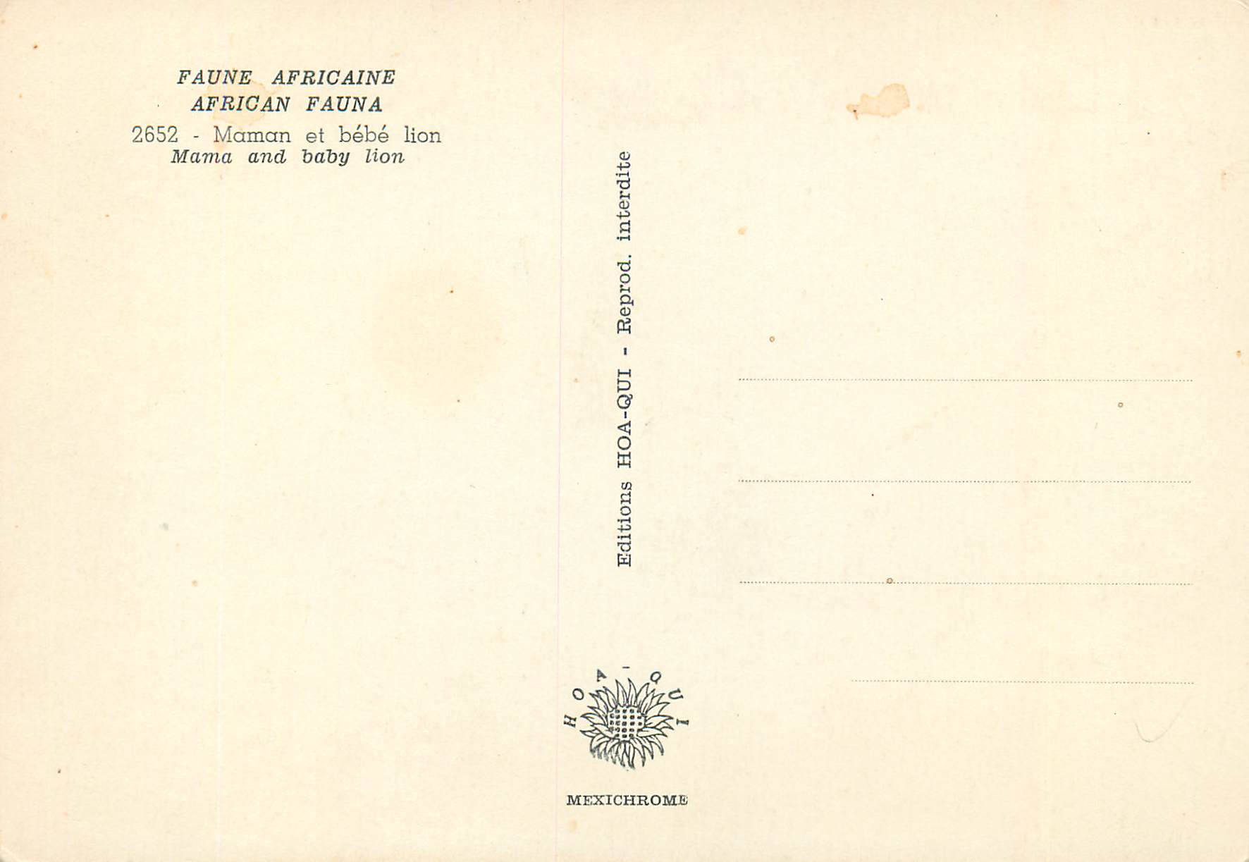 Lionne et lionceau — série Faune Africaine — Éditions HOA-QUI n°2652 — Verso