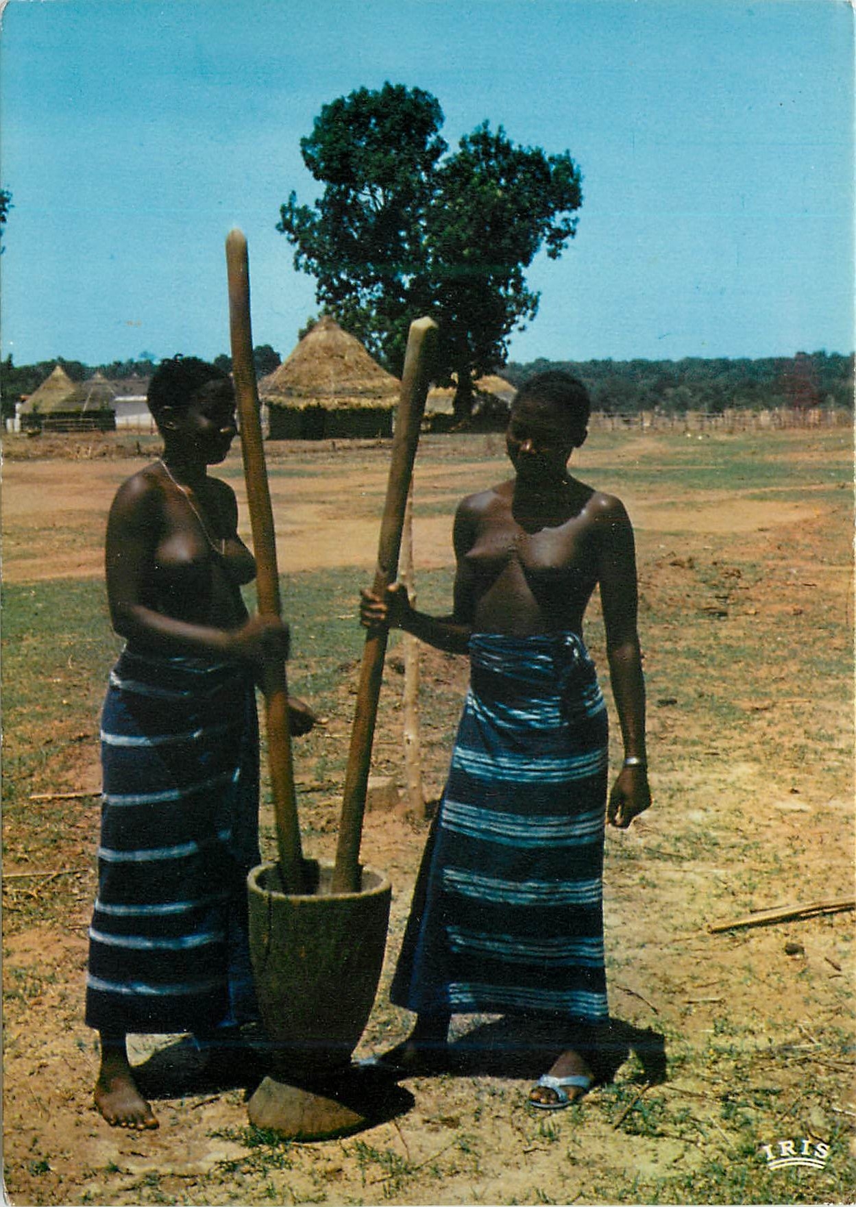 CPM Senegal Pileuses en pays Bassari